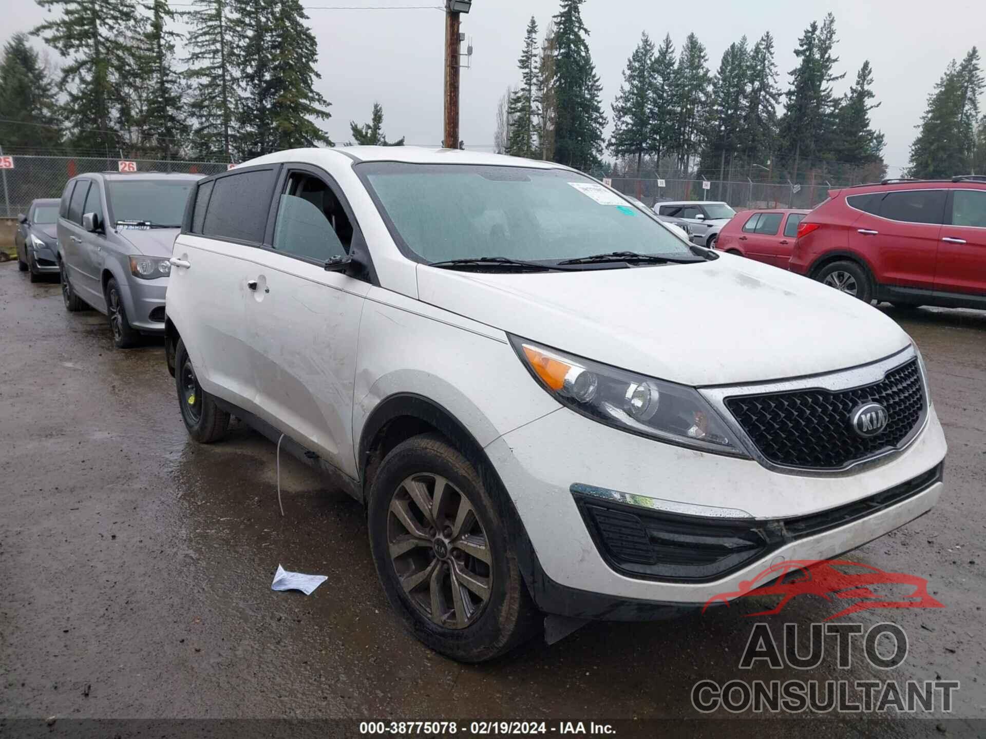 KIA SPORTAGE 2016 - KNDPB3AC5G7863347