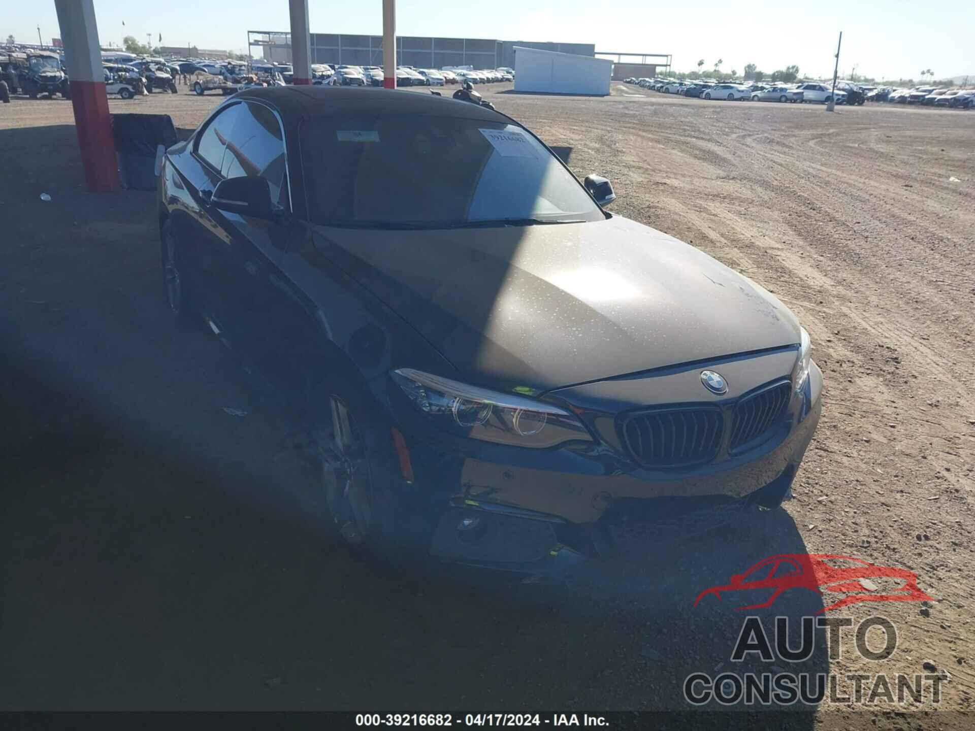 BMW 230I 2019 - WBA2J3C53KVD49366