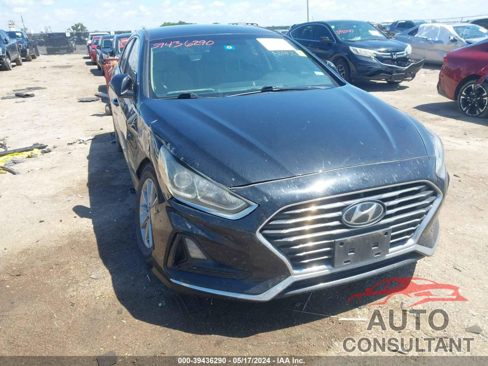 HYUNDAI SONATA 2019 - 5NPE24AFXKH750781
