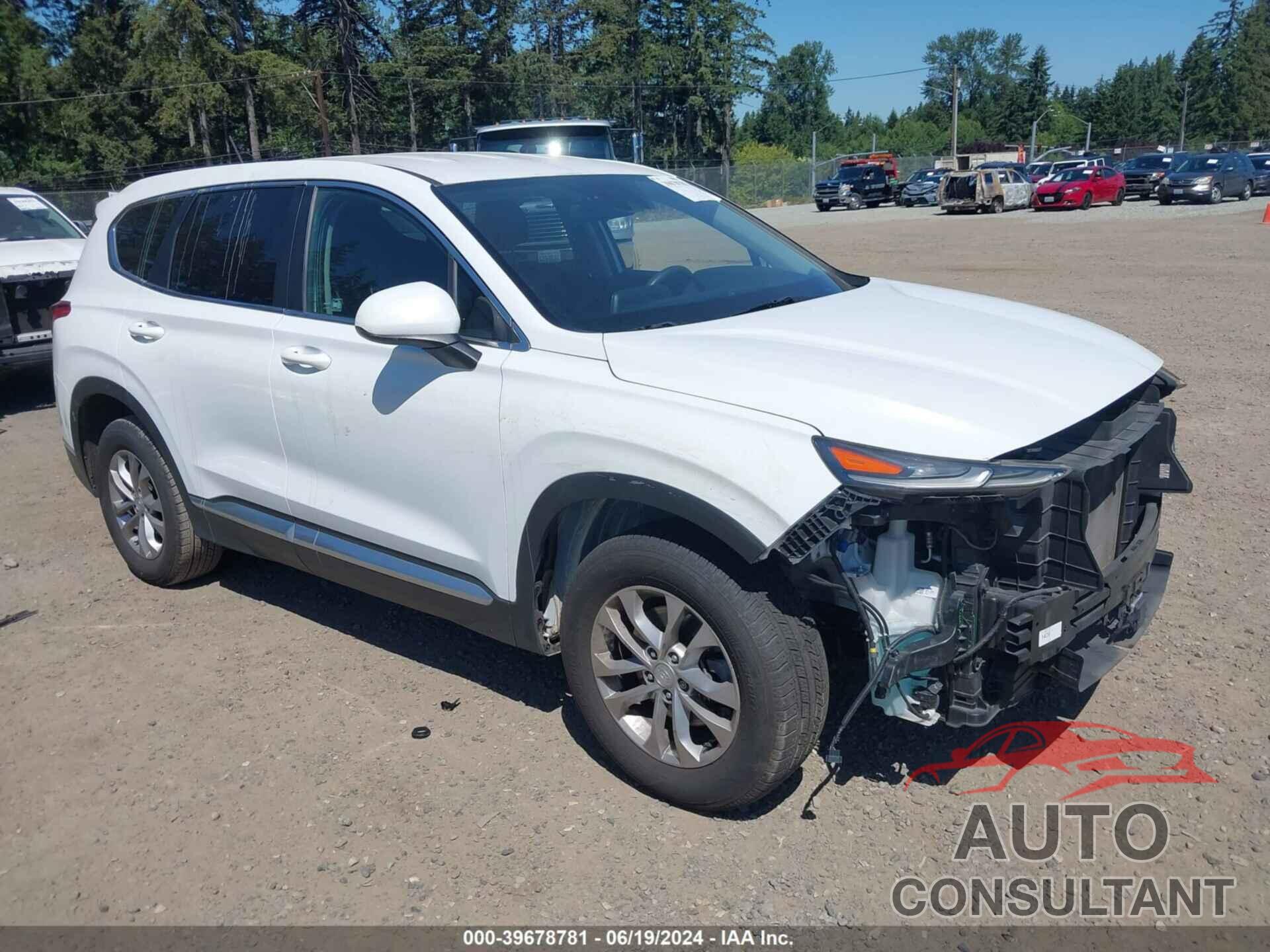 HYUNDAI SANTA FE 2019 - 5NMS2CAD5KH064267