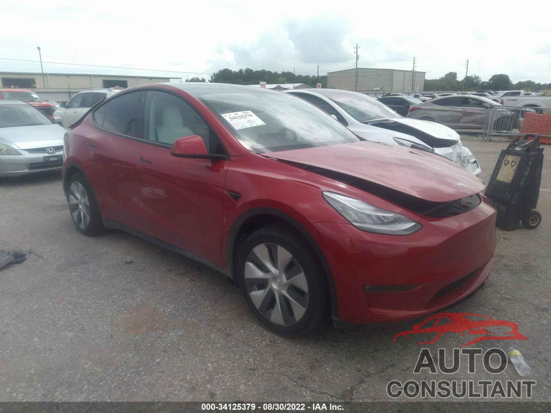 TESLA MODEL Y 2021 - 5YJYGDEE2MF285852