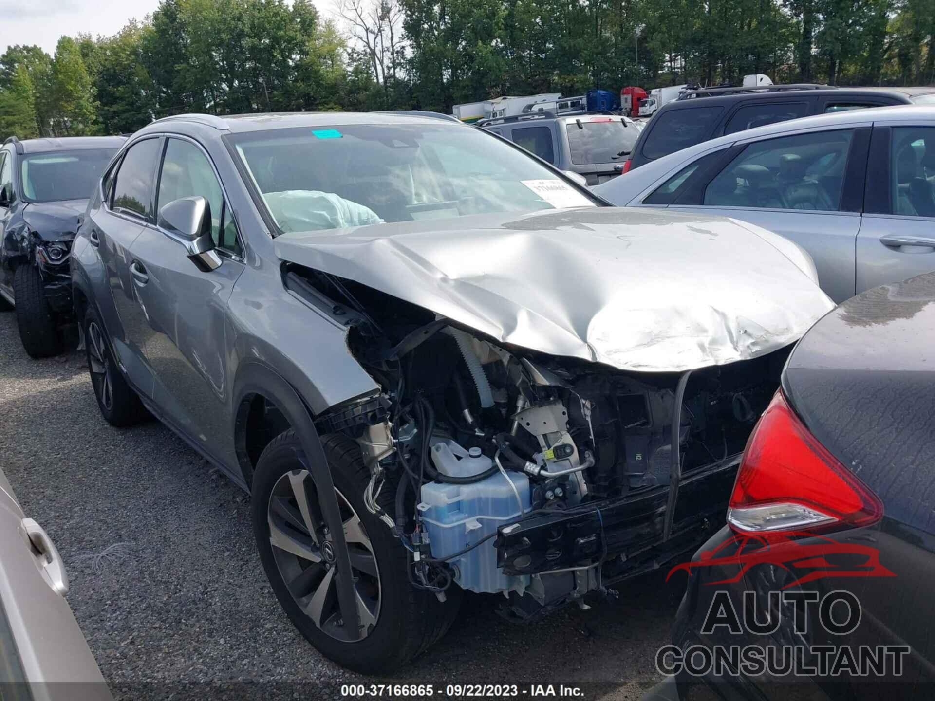 LEXUS NX 300H 2019 - JTJBJRBZ9K2115111