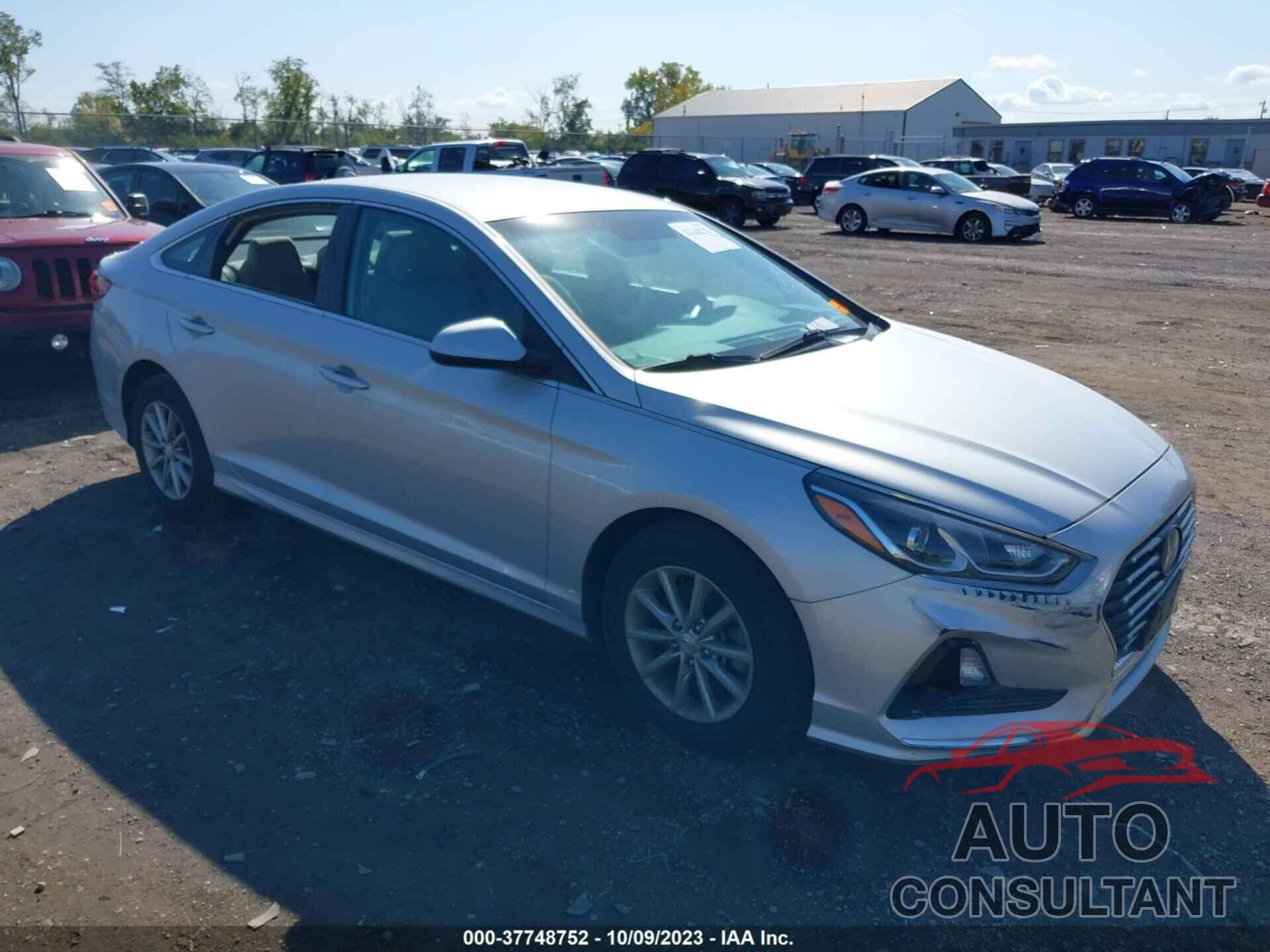 HYUNDAI SONATA 2019 - 5NPE24AFXKH776149