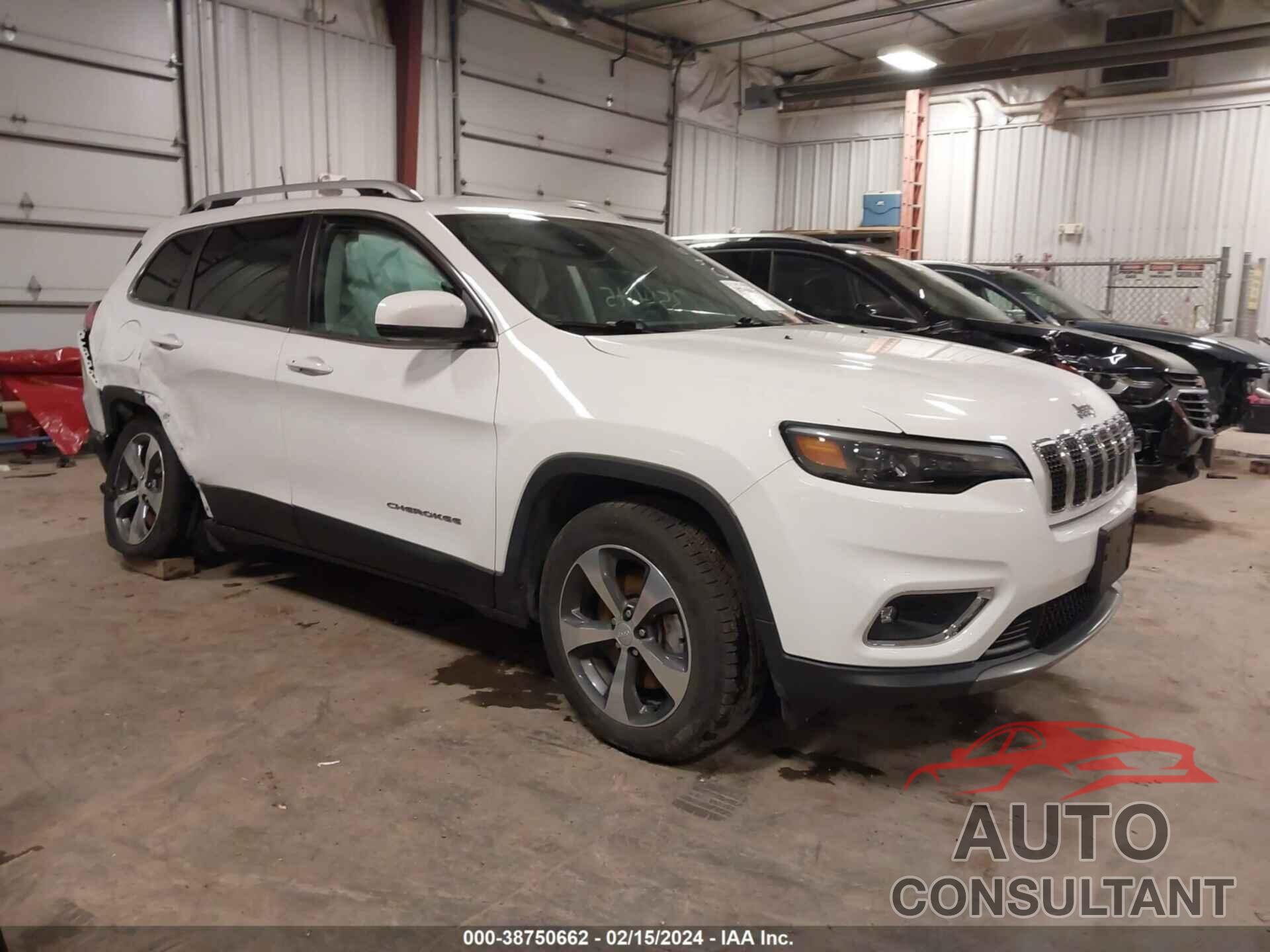 JEEP CHEROKEE 2019 - 1C4PJMDN1KD295050