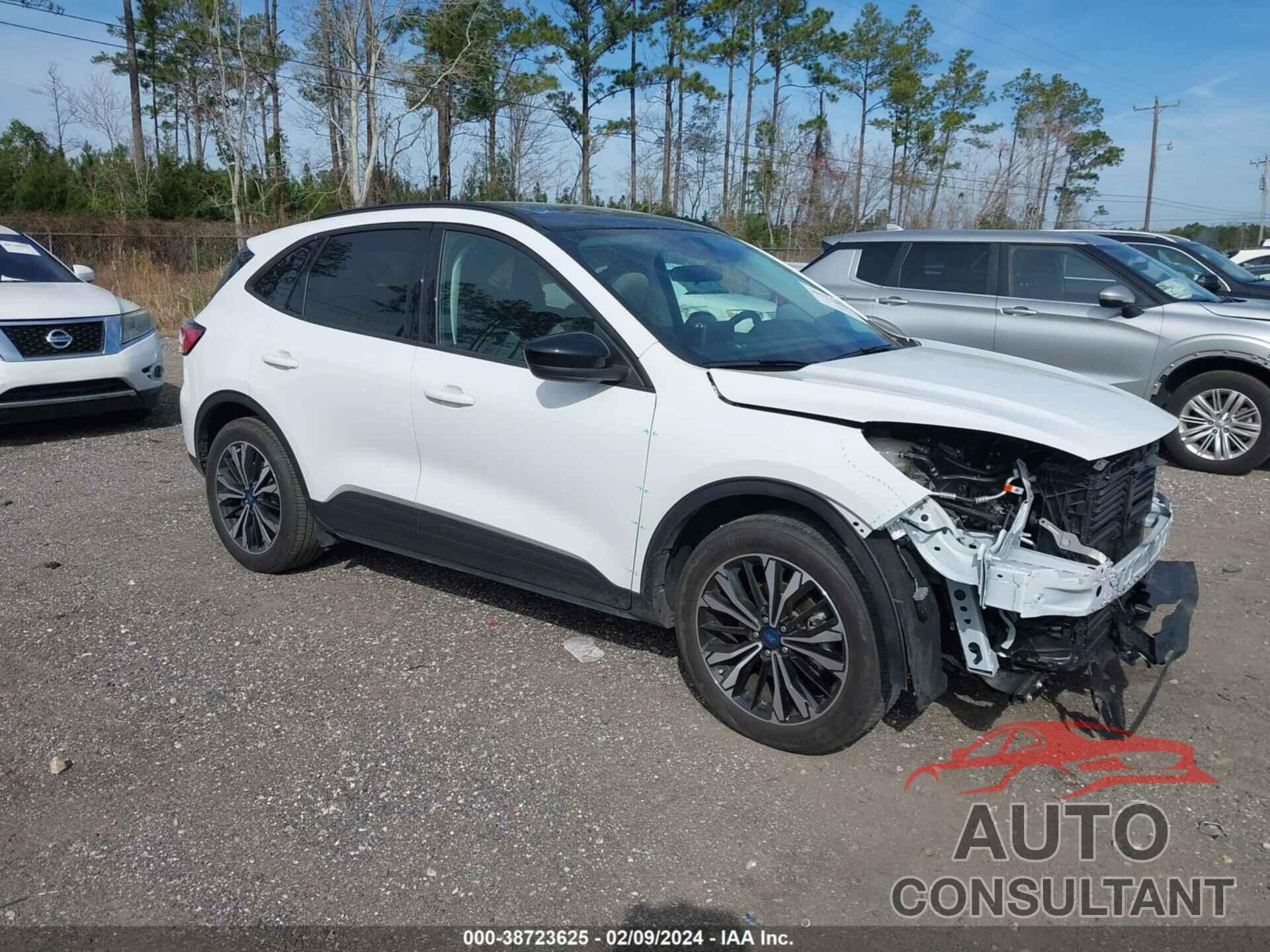 FORD ESCAPE 2022 - 1FMCU0G63NUB58811