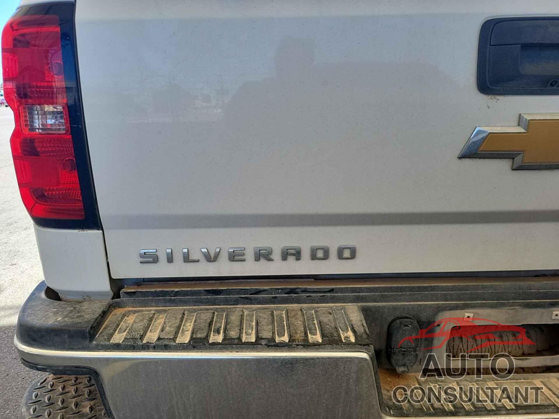 CHEVROLET SILVERADO 2019 - 2GC2KSEG2K1209235