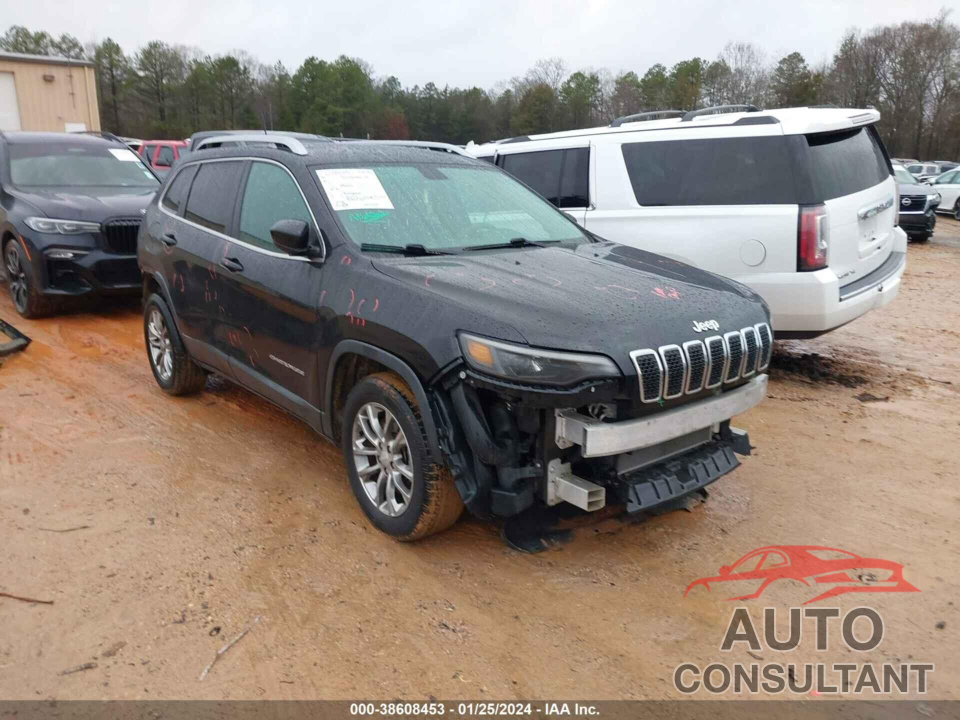 JEEP CHEROKEE 2019 - 1C4PJLLXXKD196093