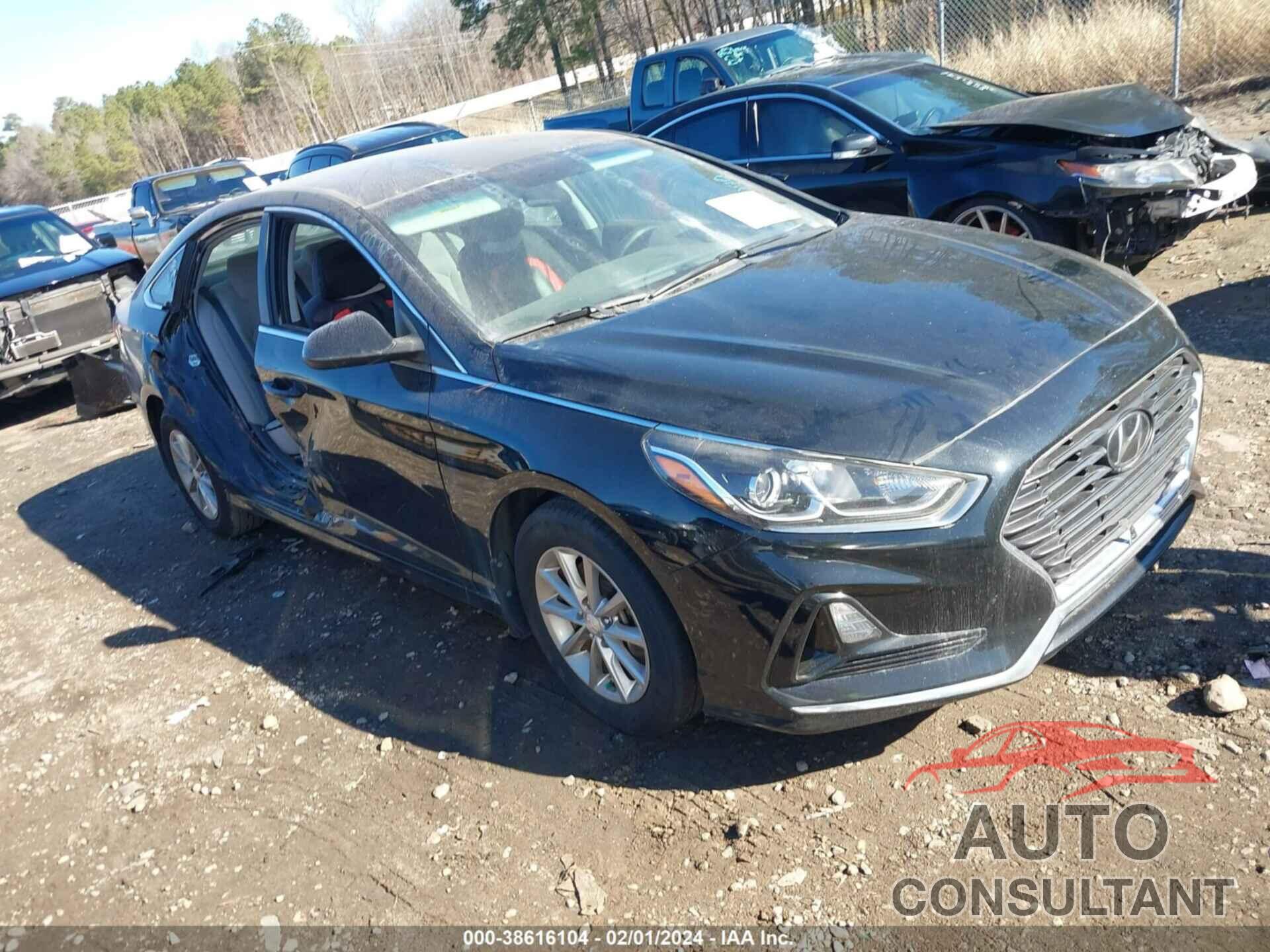 HYUNDAI SONATA 2019 - 5NPE24AF0KH763040