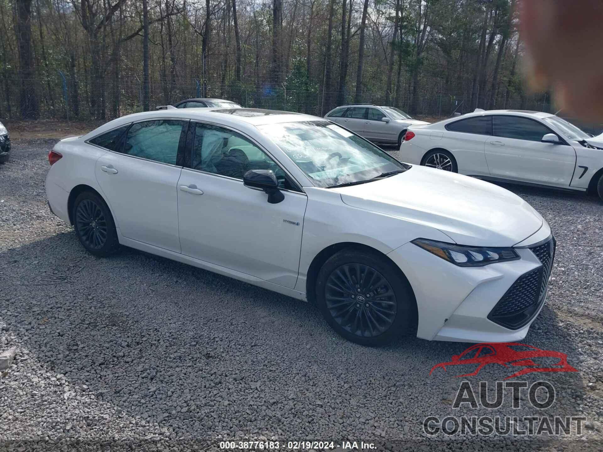 TOYOTA AVALON 2019 - 4T1B21FB1KU006981