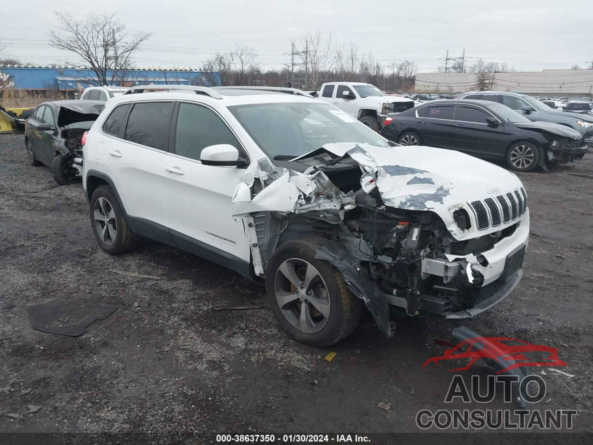 JEEP CHEROKEE 2019 - 1C4PJMDX7KD351364