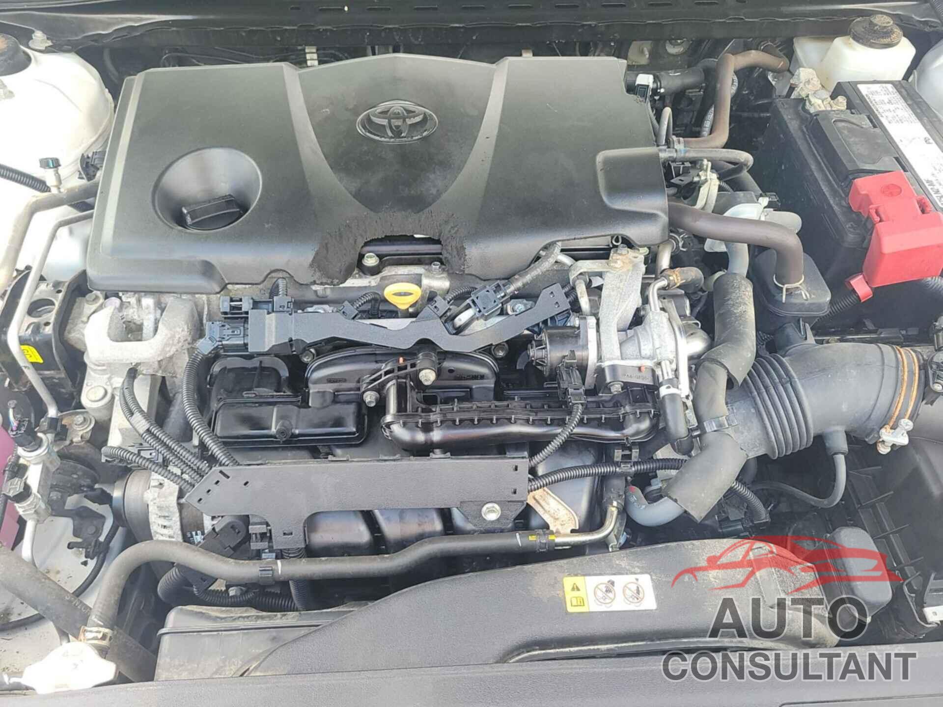 TOYOTA CAMRY 2019 - 4T1B11HK6KU736157