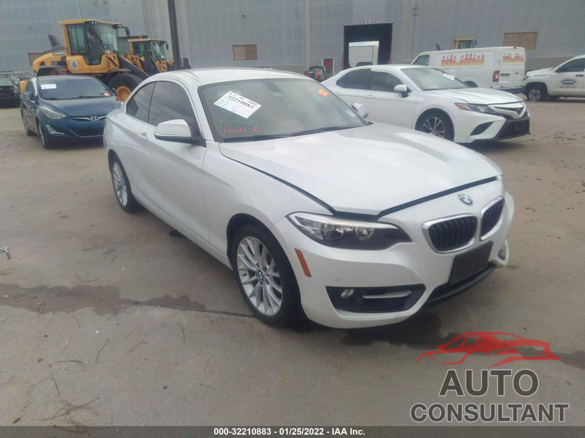 BMW 2 SERIES 2016 - WBA1F9C59GV544781