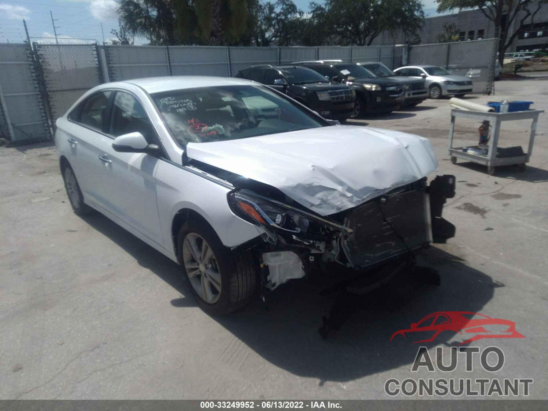 HYUNDAI SONATA 2019 - 5NPE34AF4KH790304