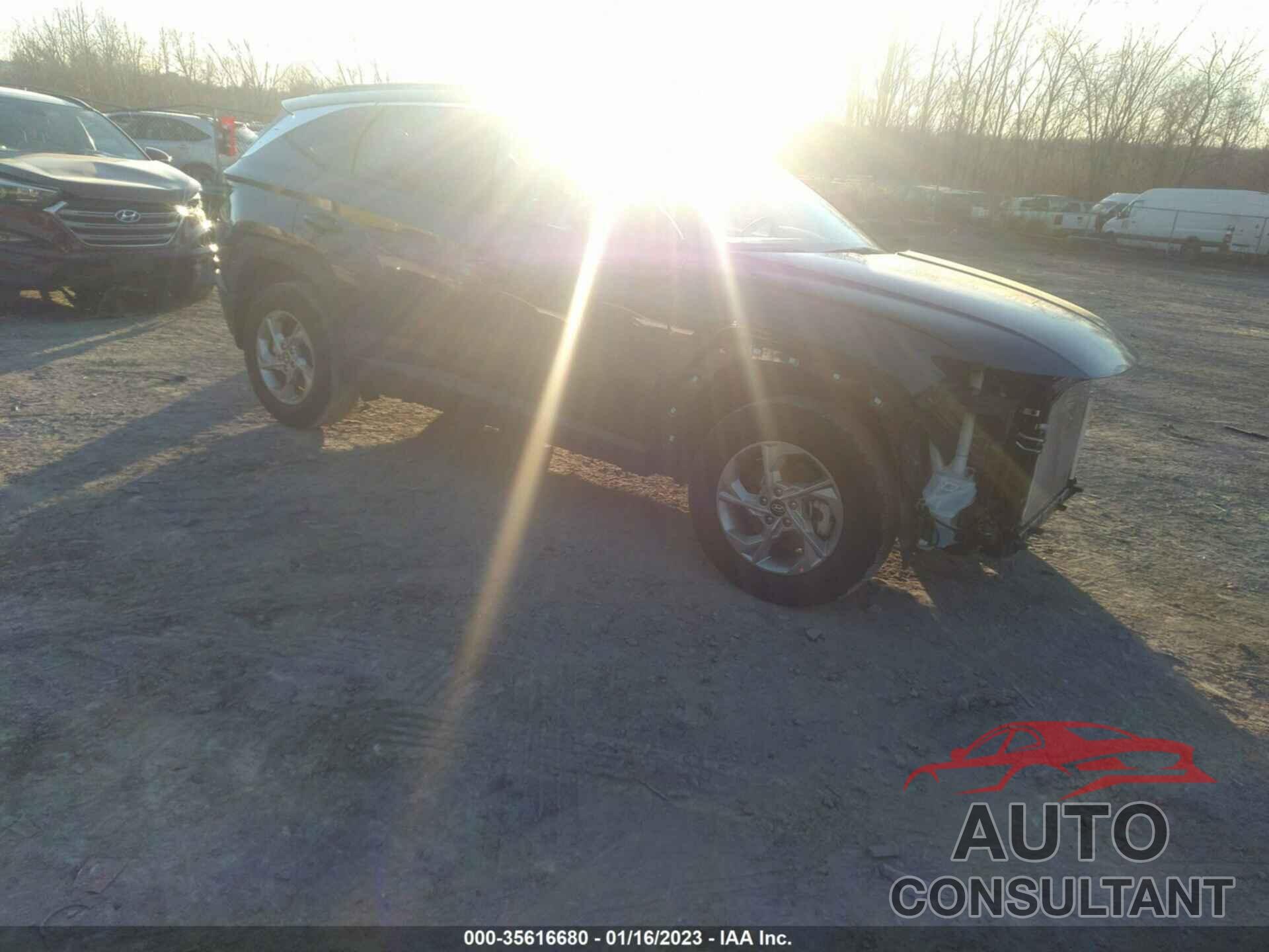 HYUNDAI TUCSON 2023 - 5NMJBCAE2PH178352