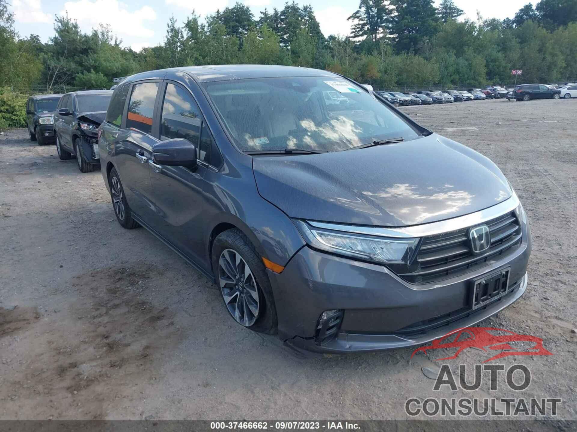 HONDA ODYSSEY 2021 - 5FNRL6H72MB000916