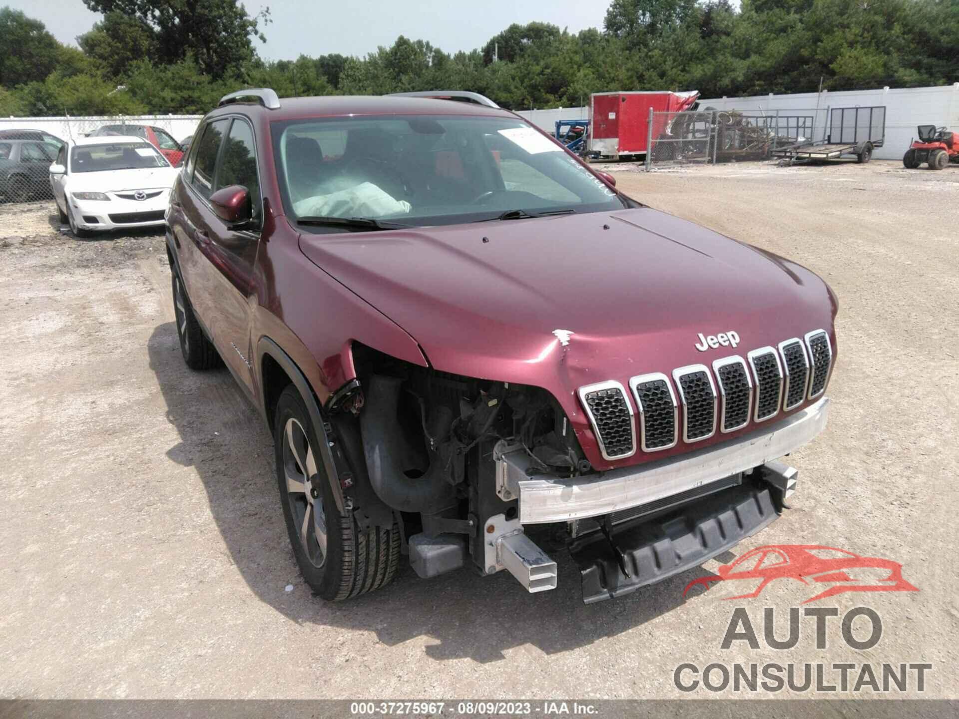 JEEP CHEROKEE 2019 - 1C4PJMDX3KD155695