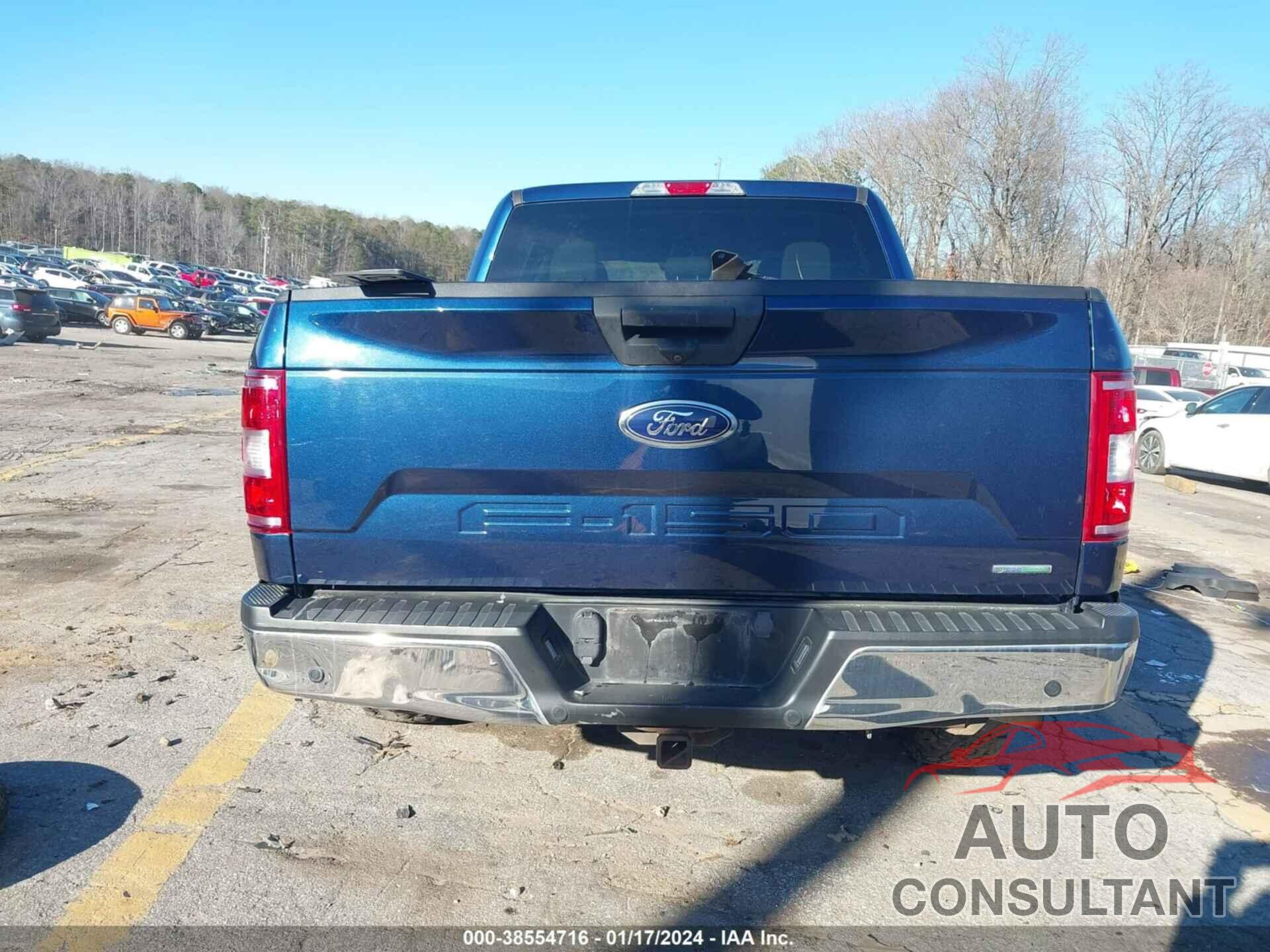 FORD F-150 2019 - 1FTEW1EP5KKC53600