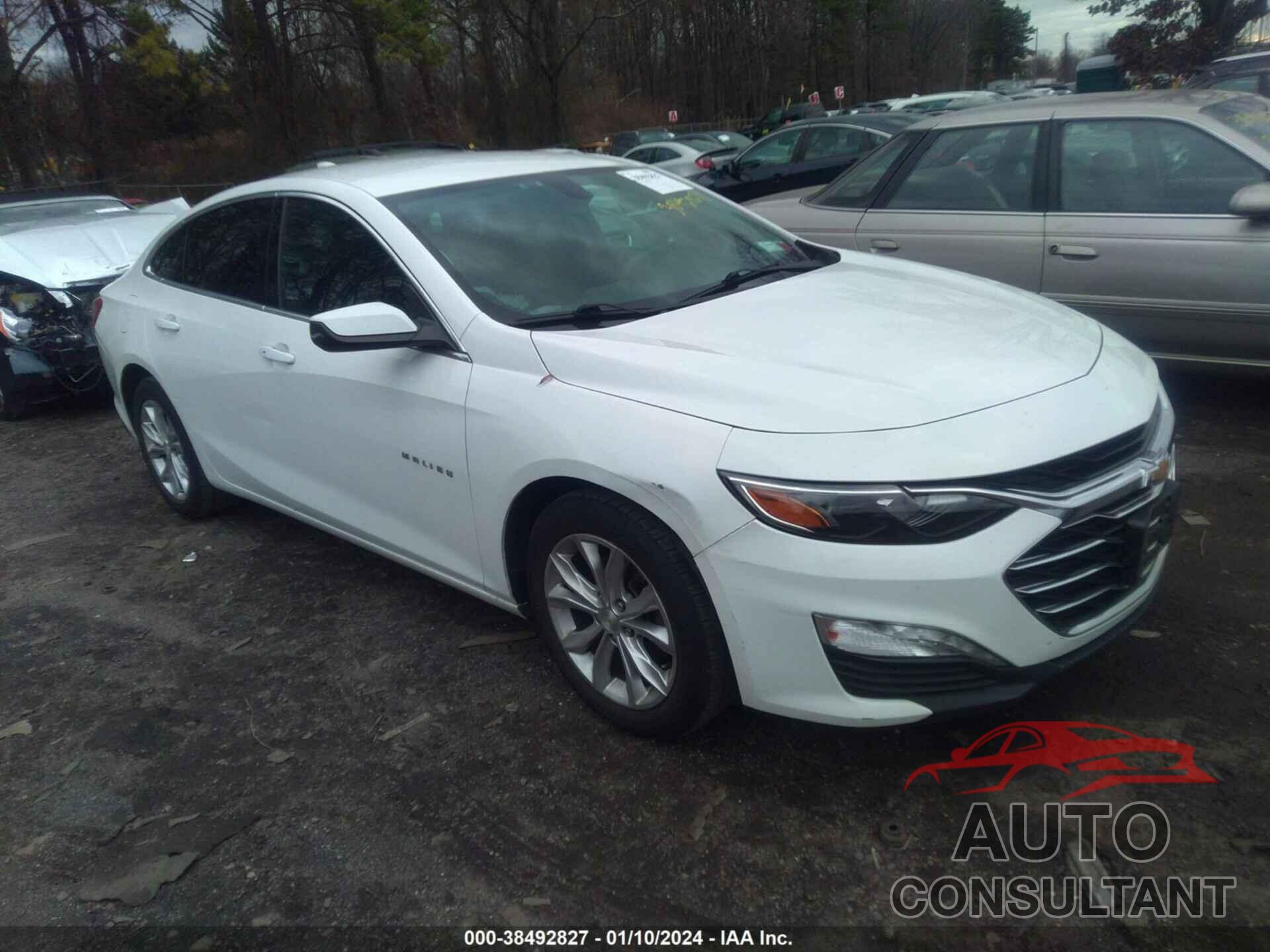 CHEVROLET MALIBU 2019 - 1G1ZD5ST5KF168452