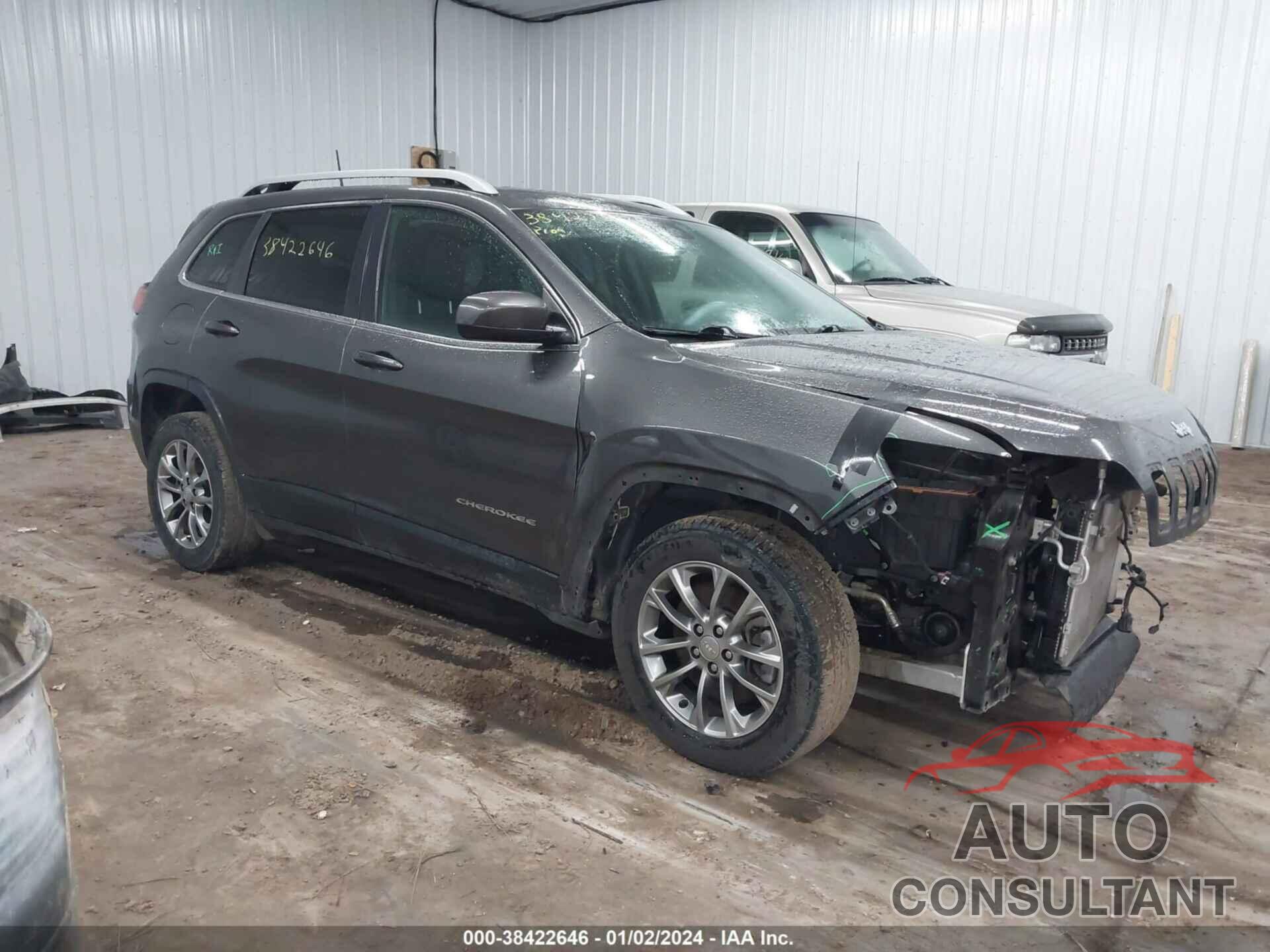 JEEP CHEROKEE 2019 - 1C4PJLLB4KD130269