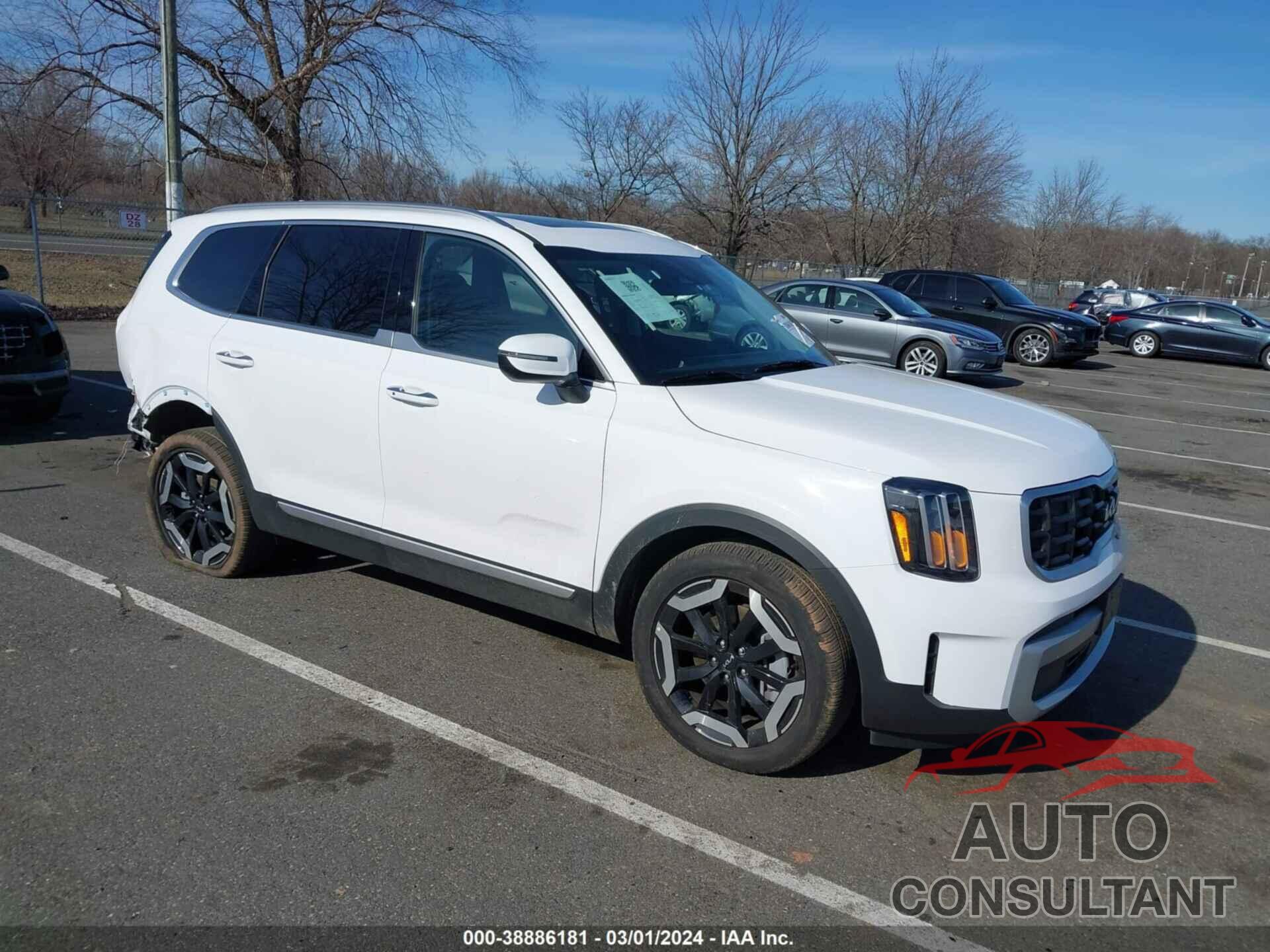 KIA TELLURIDE 2024 - 5XYP6DGC0RG430607