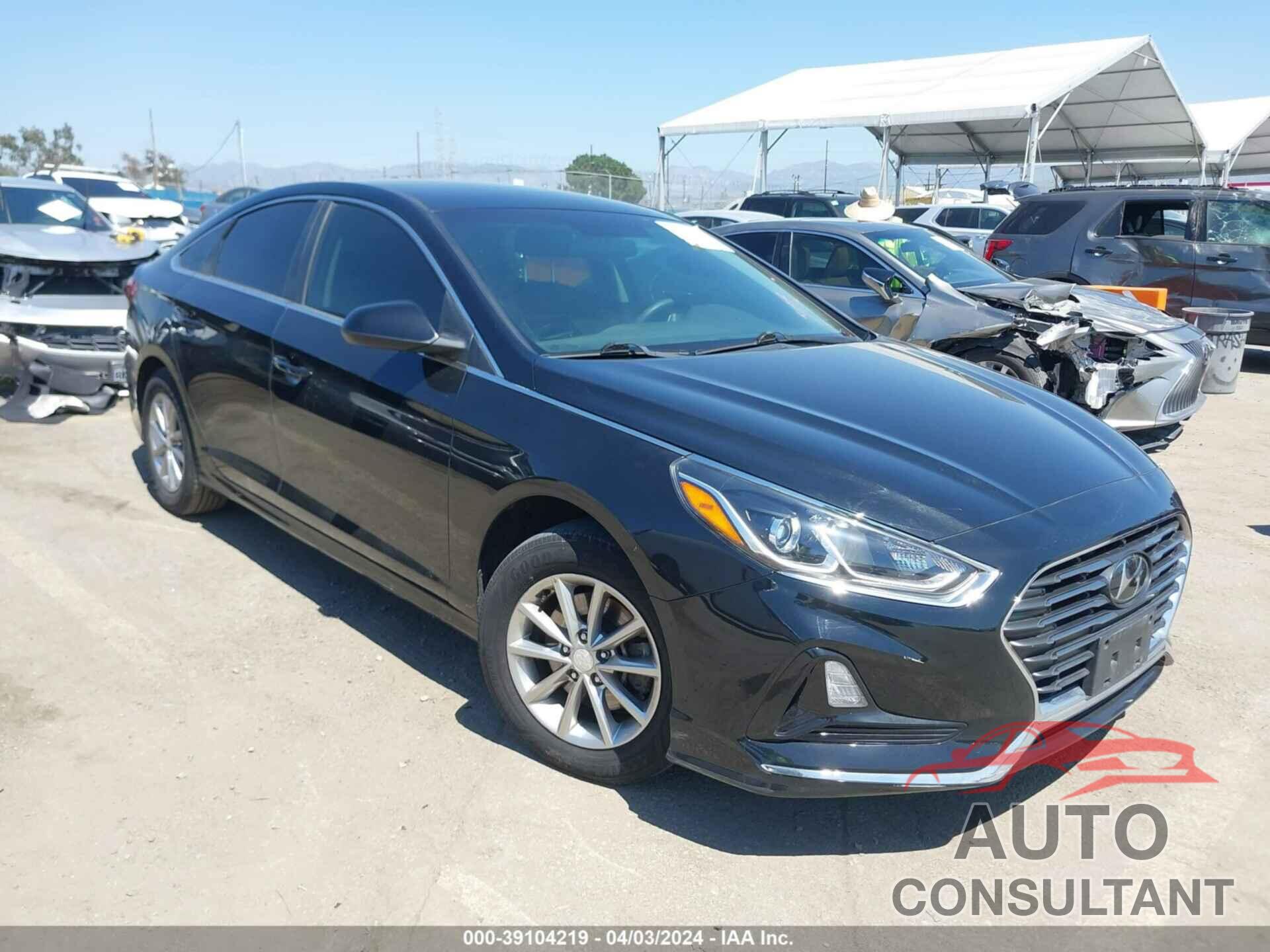 HYUNDAI SONATA 2019 - 5NPE24AF5KH750851