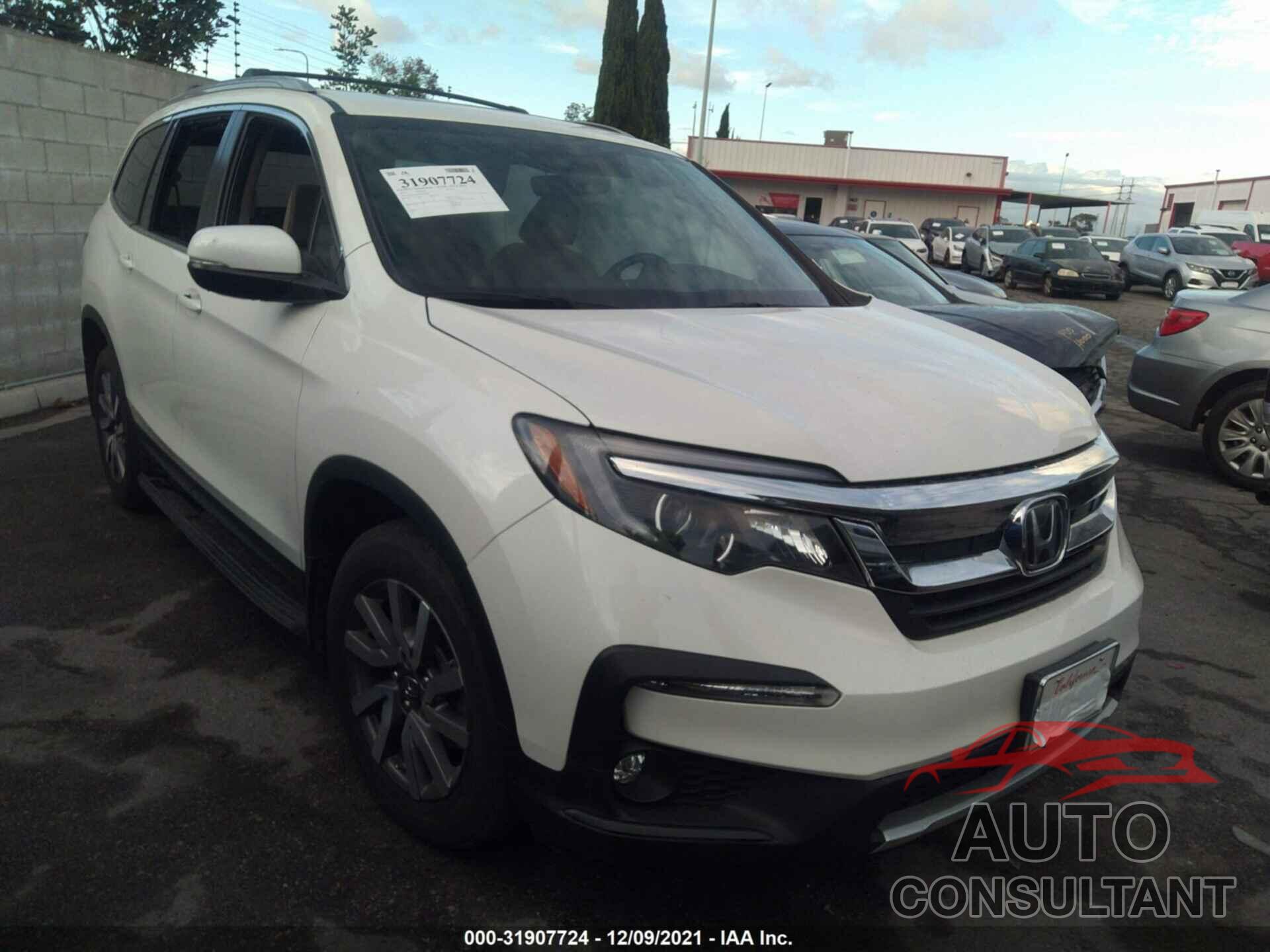 HONDA PILOT 2019 - 5FNYF5H50KB016699