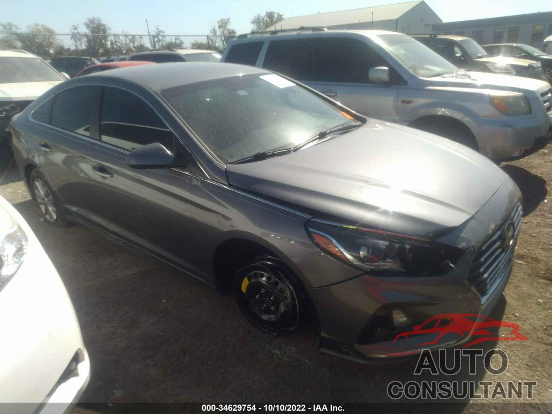 HYUNDAI SONATA 2019 - 5NPE24AF4KH746127