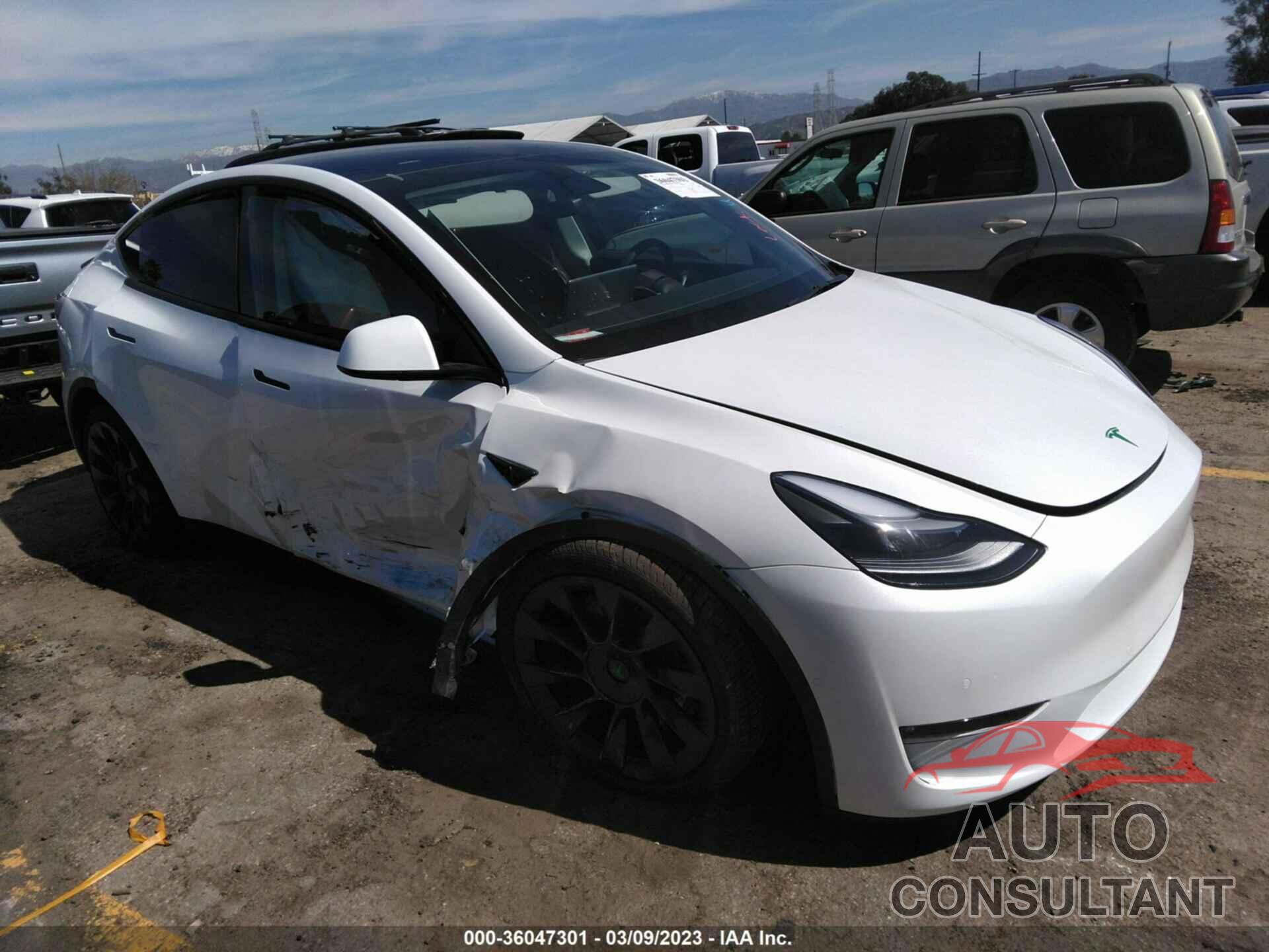TESLA MODEL Y 2022 - 7SAYGDEE5NF539512
