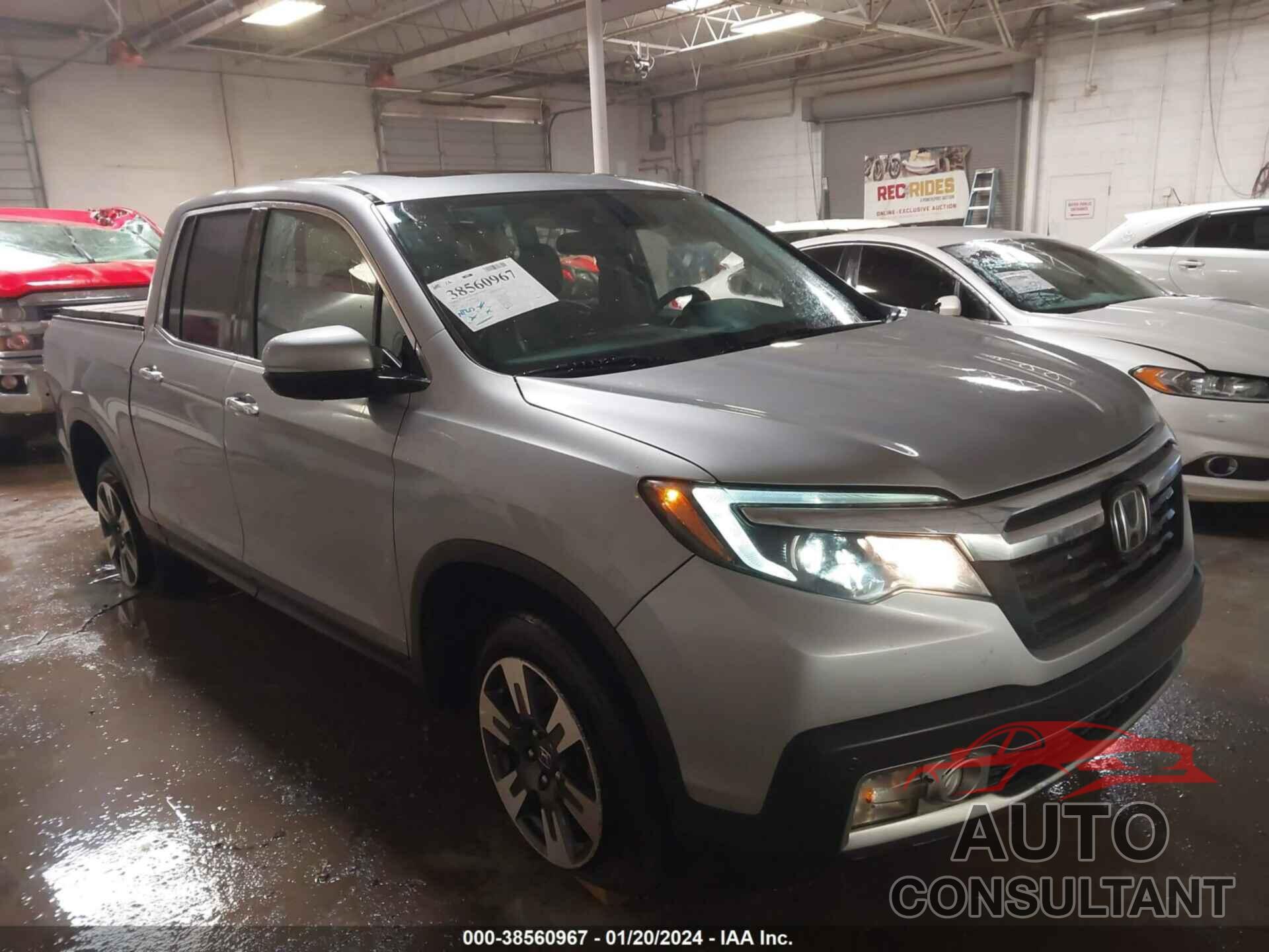 HONDA RIDGELINE 2019 - 5FPYK3F79KB016289