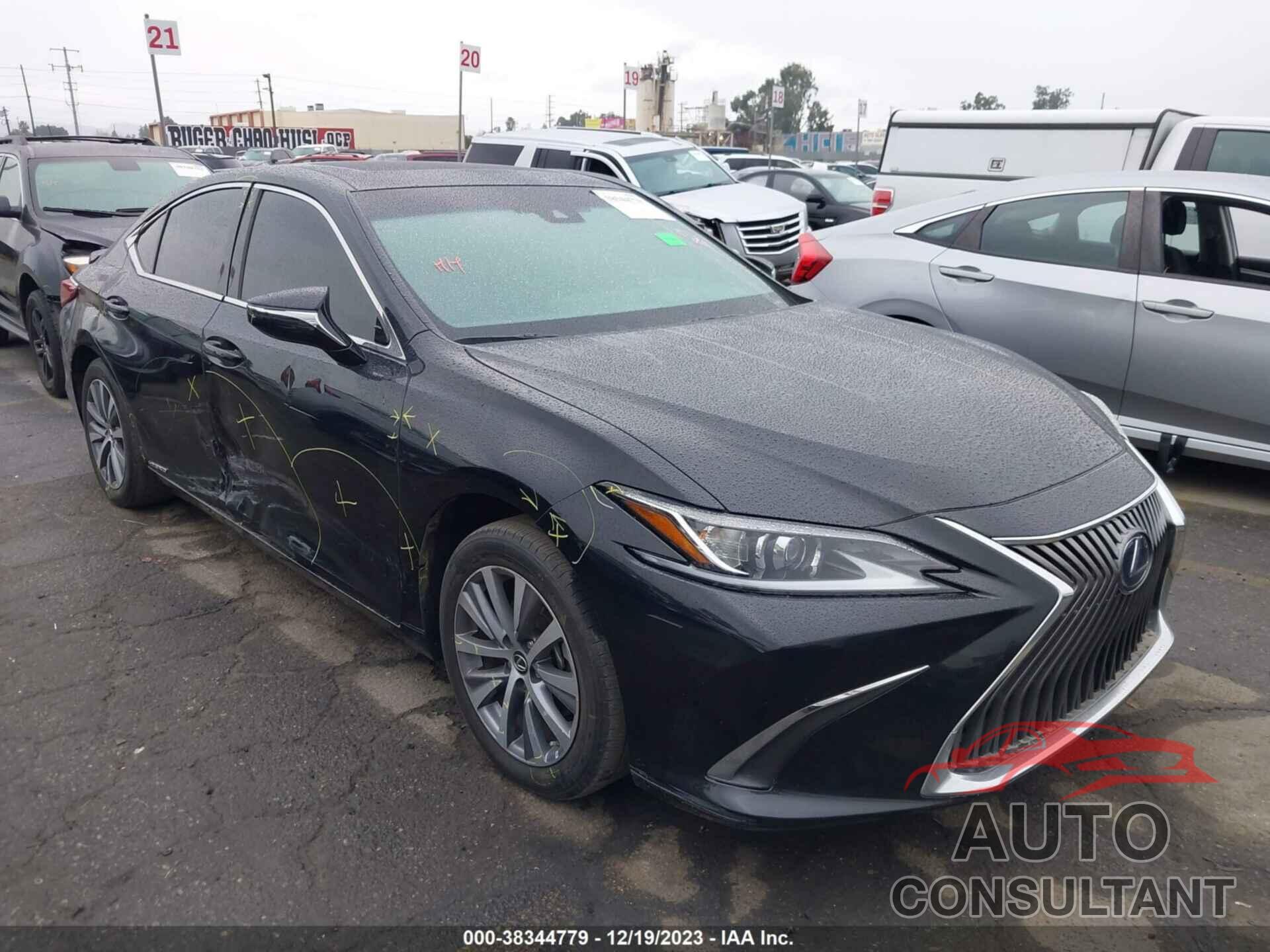 LEXUS ES 300H 2021 - 58ACA1C11MU007398