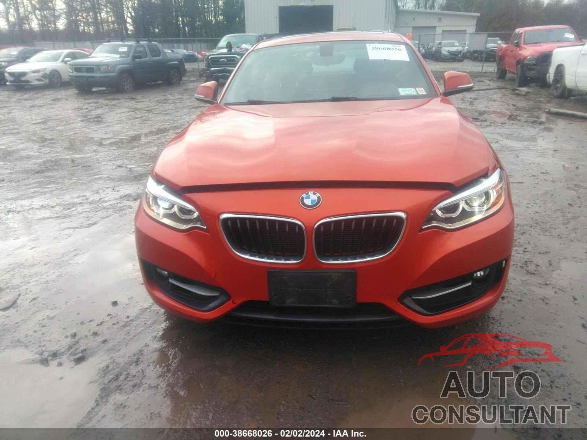 BMW 228I 2016 - WBA1G9C55GV727110