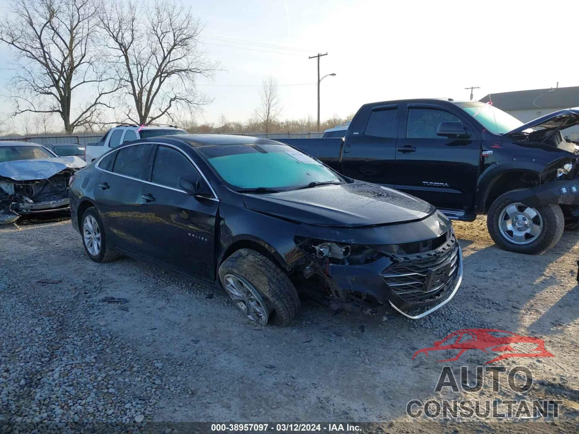 CHEVROLET MALIBU 2019 - 1G1ZD5ST7KF185396