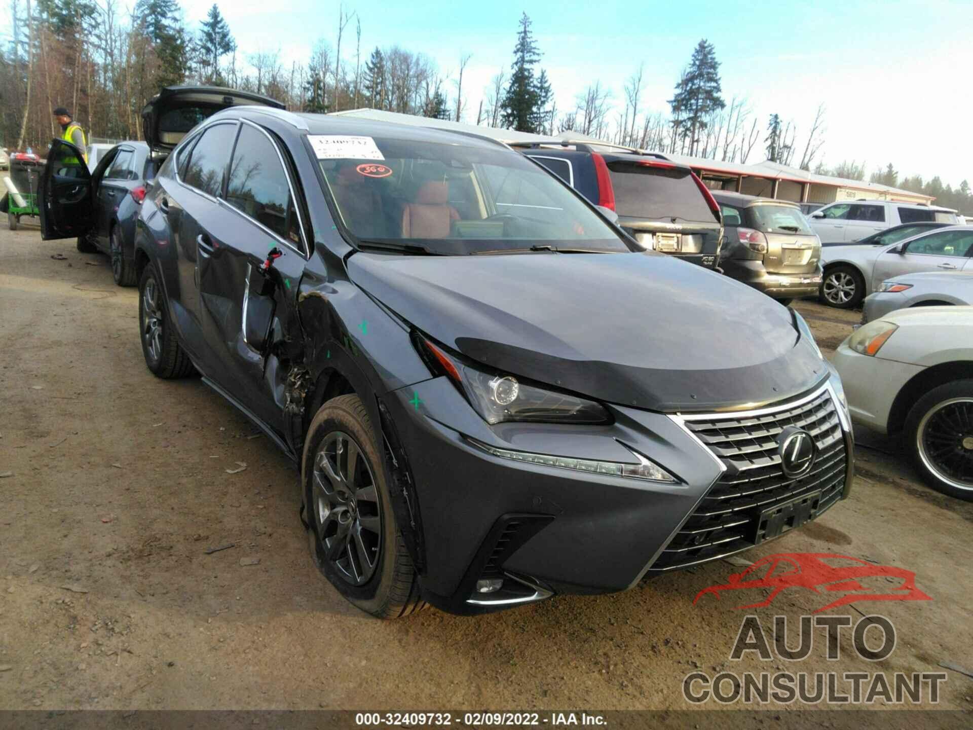 LEXUS NX 2019 - JTJYARBZ8K2122092