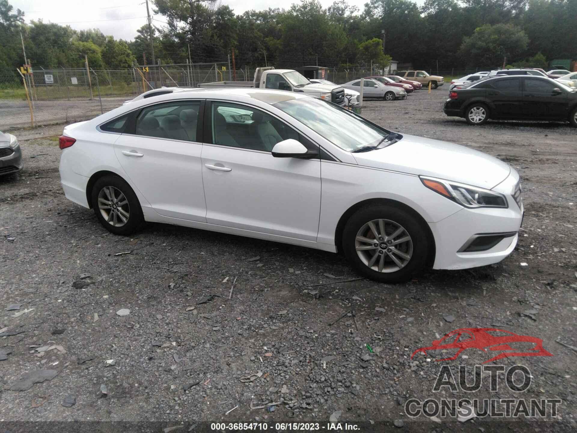 HYUNDAI SONATA 2016 - 5NPE24AF9GH353294