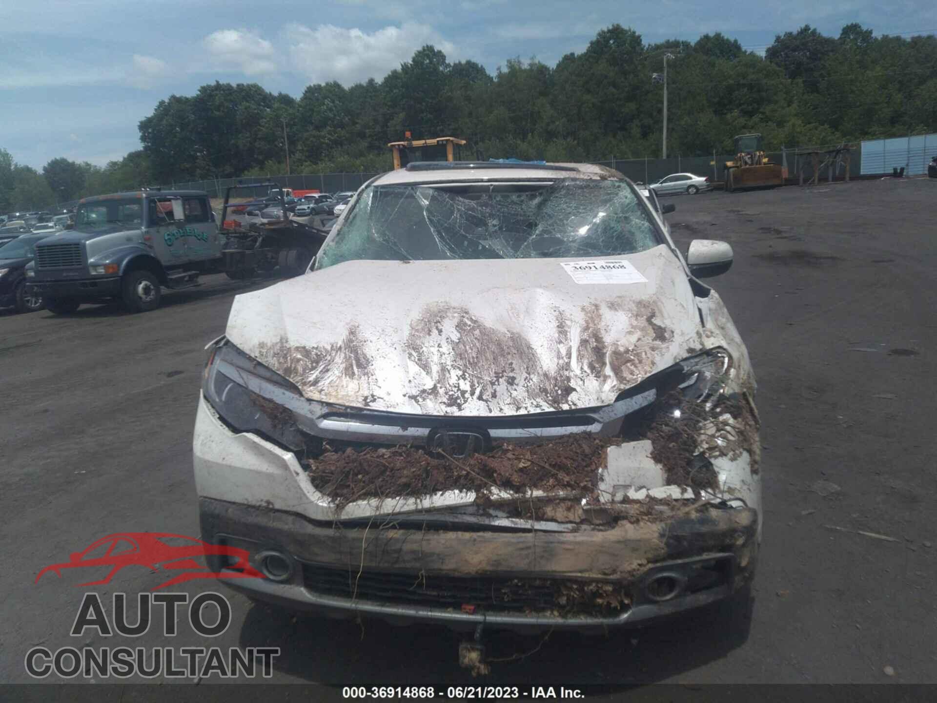 HONDA RIDGELINE 2017 - 5FPYK3F77HB014176