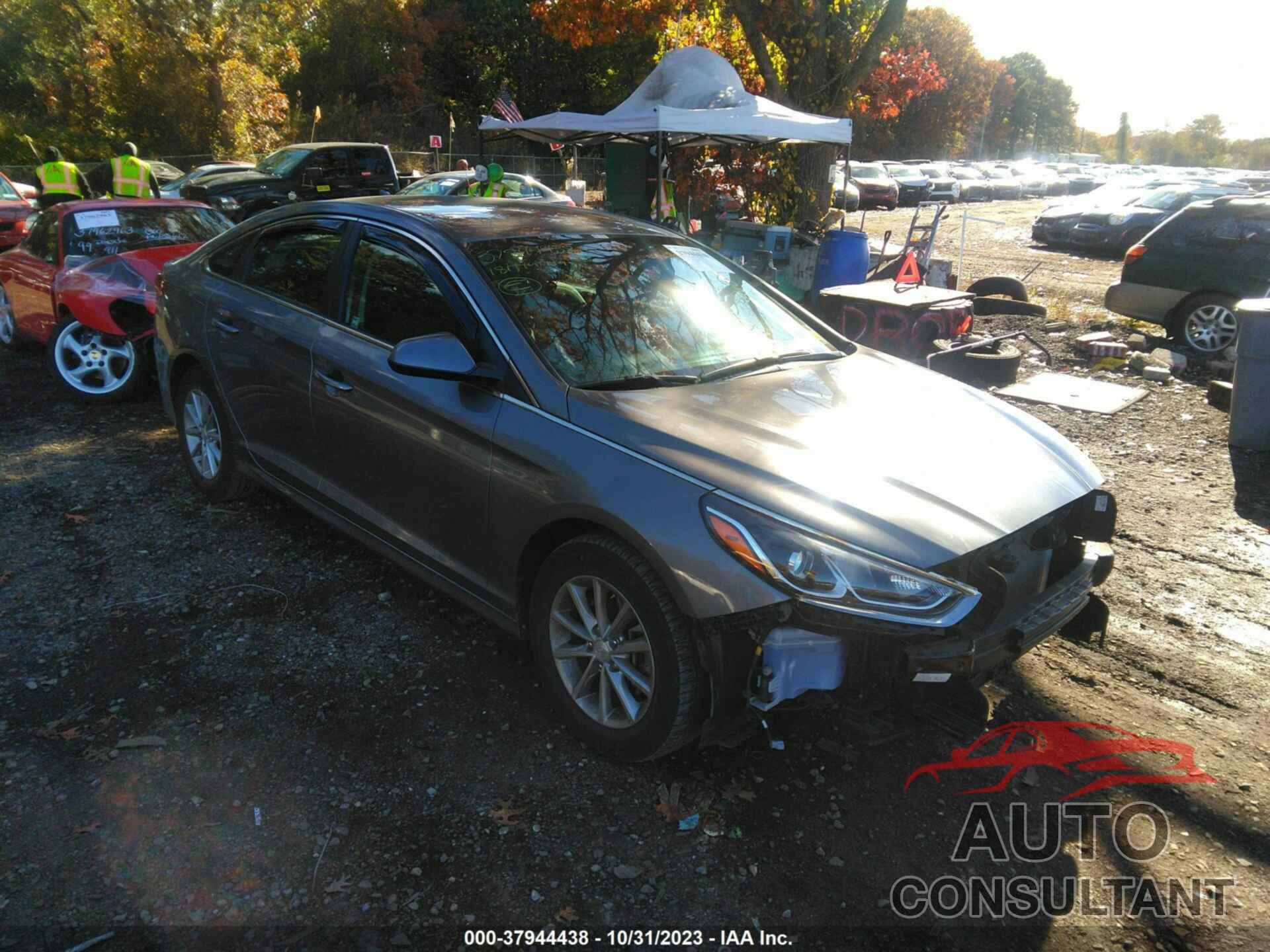 HYUNDAI SONATA 2018 - 5NPE24AF9JH647074