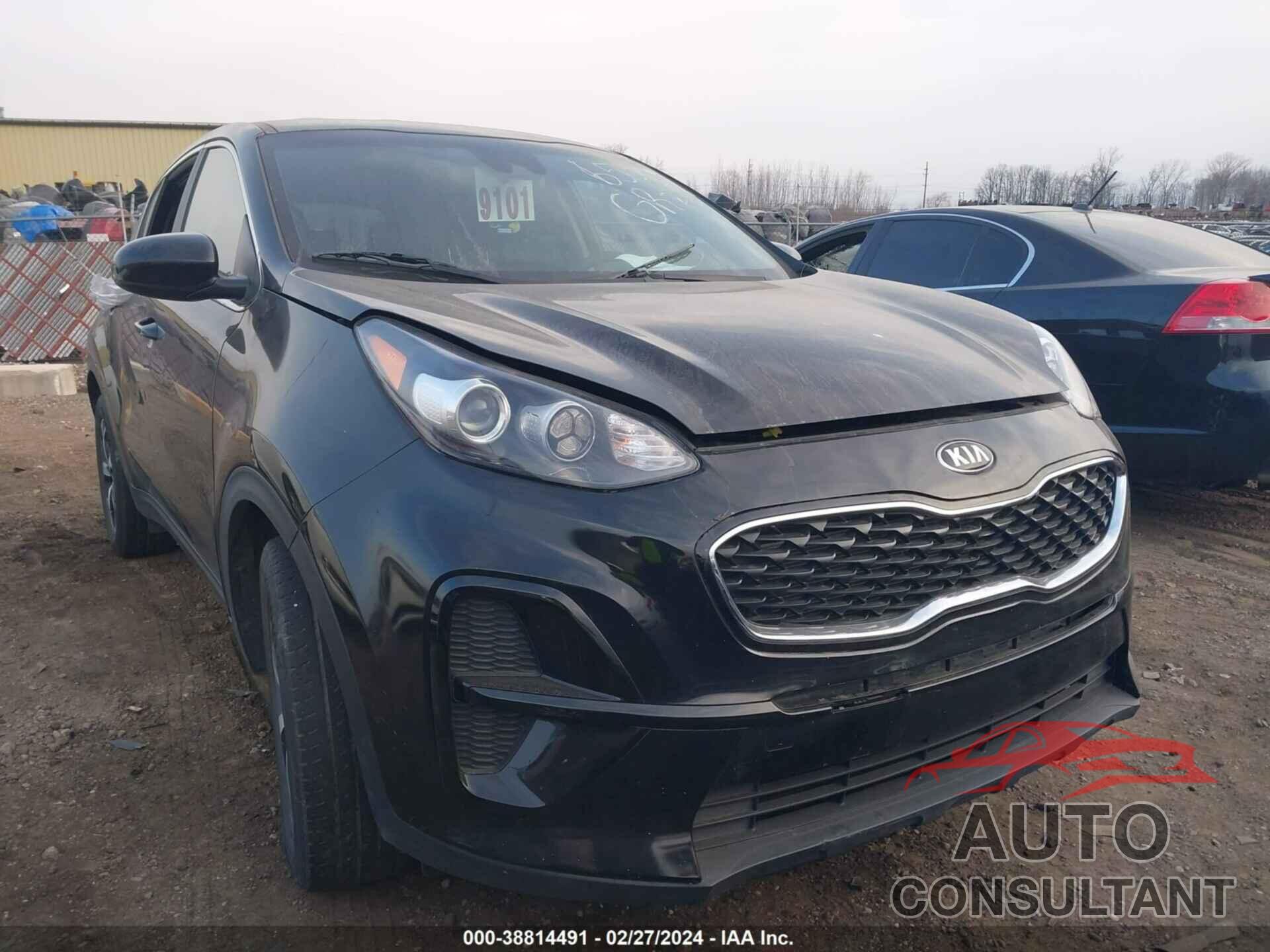 KIA SPORTAGE 2022 - KNDPM3AC8N7016538