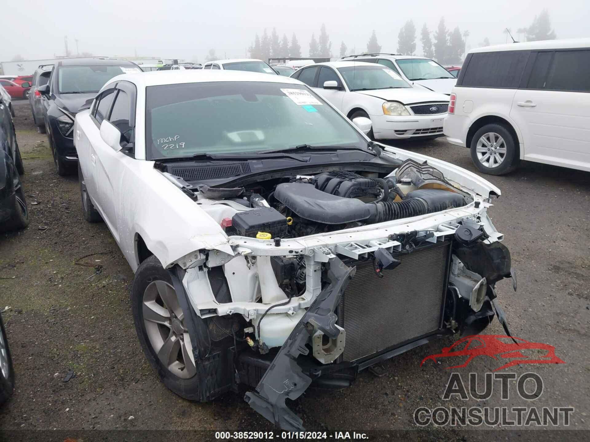 DODGE CHARGER 2019 - 2C3CDXHG1KH740459