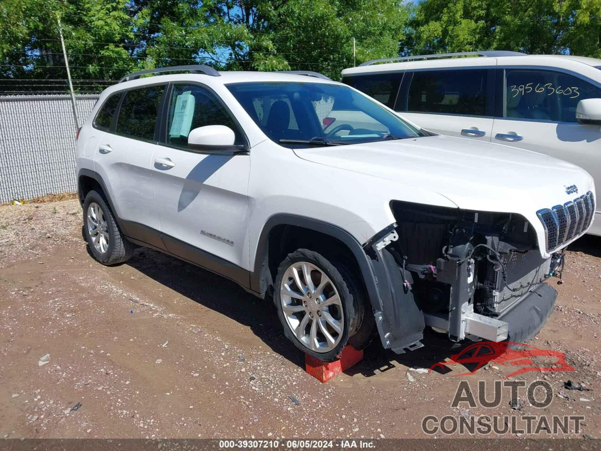 JEEP CHEROKEE 2019 - 1C4PJLCB7KD178168