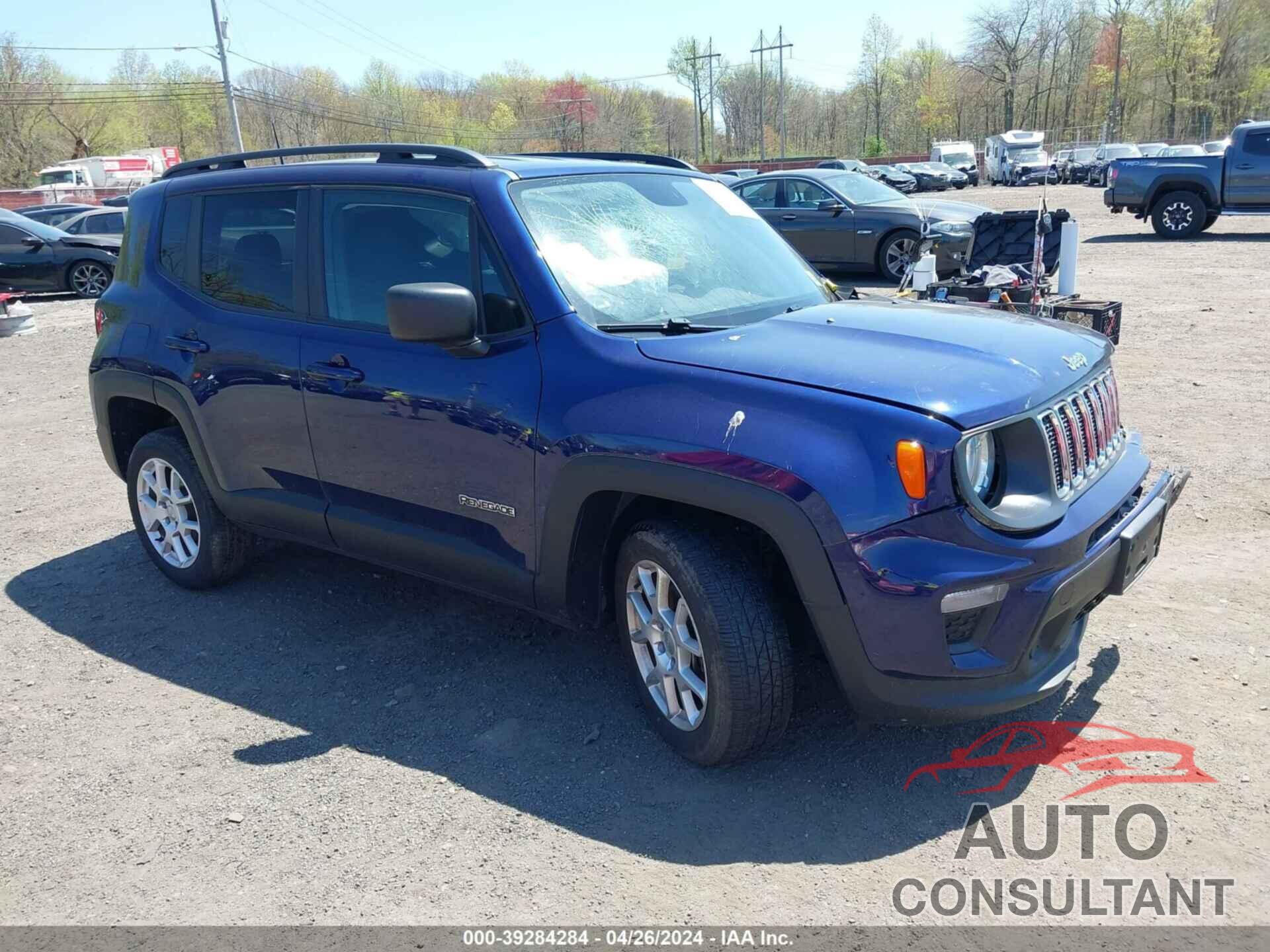 JEEP RENEGADE 2019 - ZACNJBAB1KPJ97852