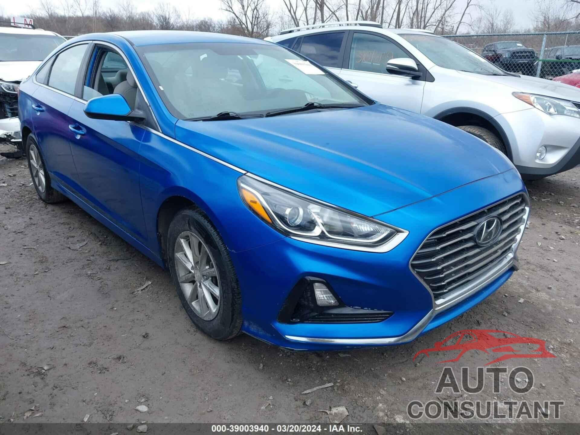 HYUNDAI SONATA 2019 - 5NPE24AF7KH745697