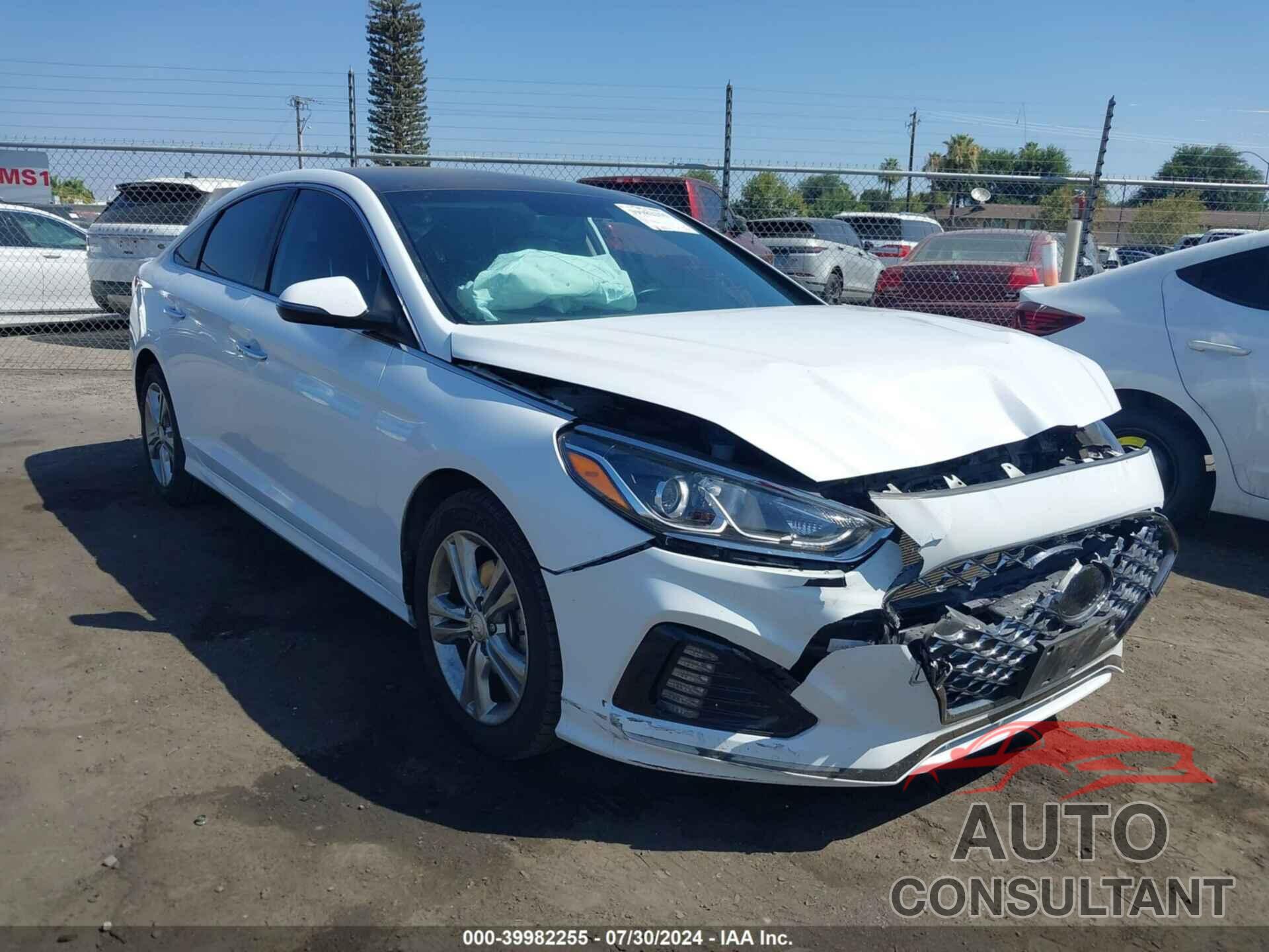 HYUNDAI SONATA 2019 - 5NPE34AF9KH737209