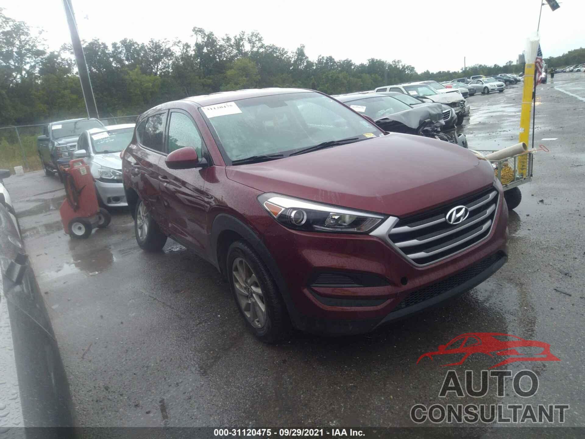 HYUNDAI TUCSON 2017 - KM8J23A40HU431911