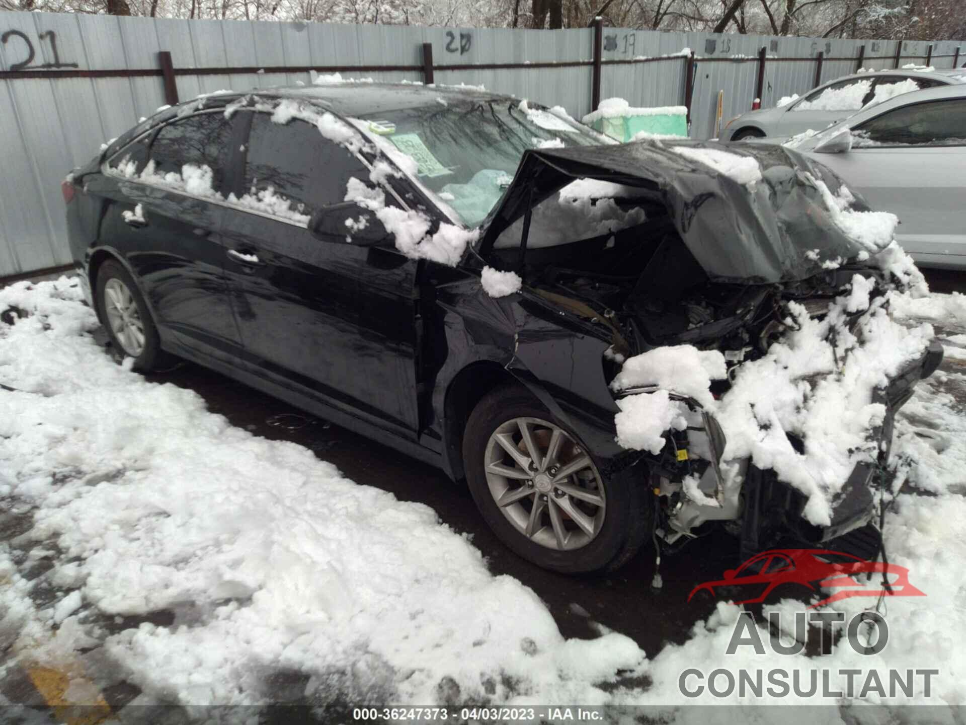 HYUNDAI SONATA 2019 - 5npe24af7kh805896