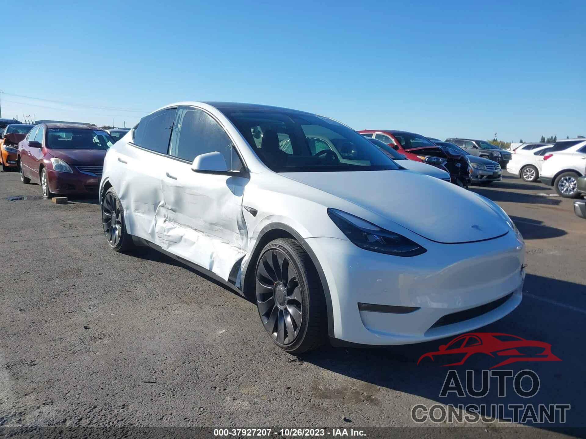 TESLA MODEL Y 2022 - 7SAYGDEF1NF493024