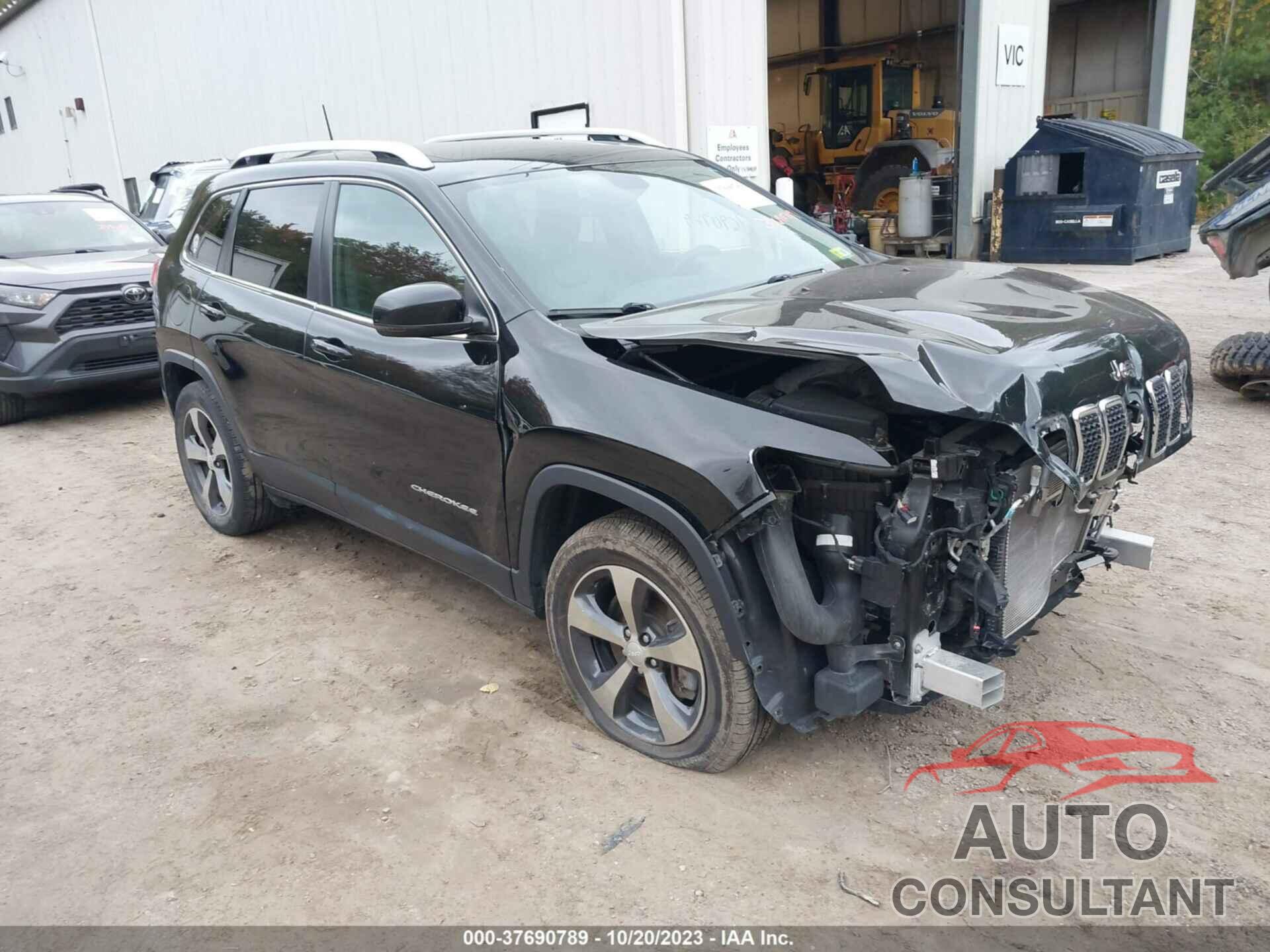 JEEP CHEROKEE 2019 - 1C4PJMDX5KD218893