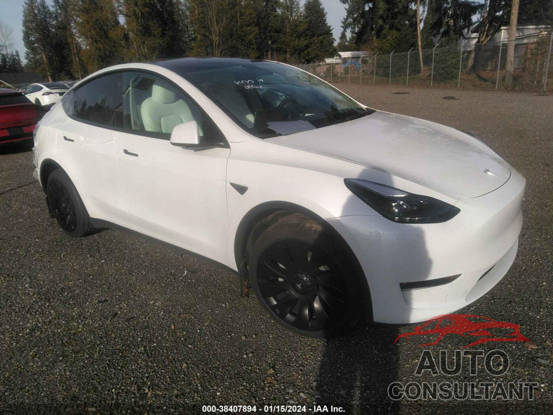 TESLA MODEL Y 2023 - 7SAYGAEE2PF709875