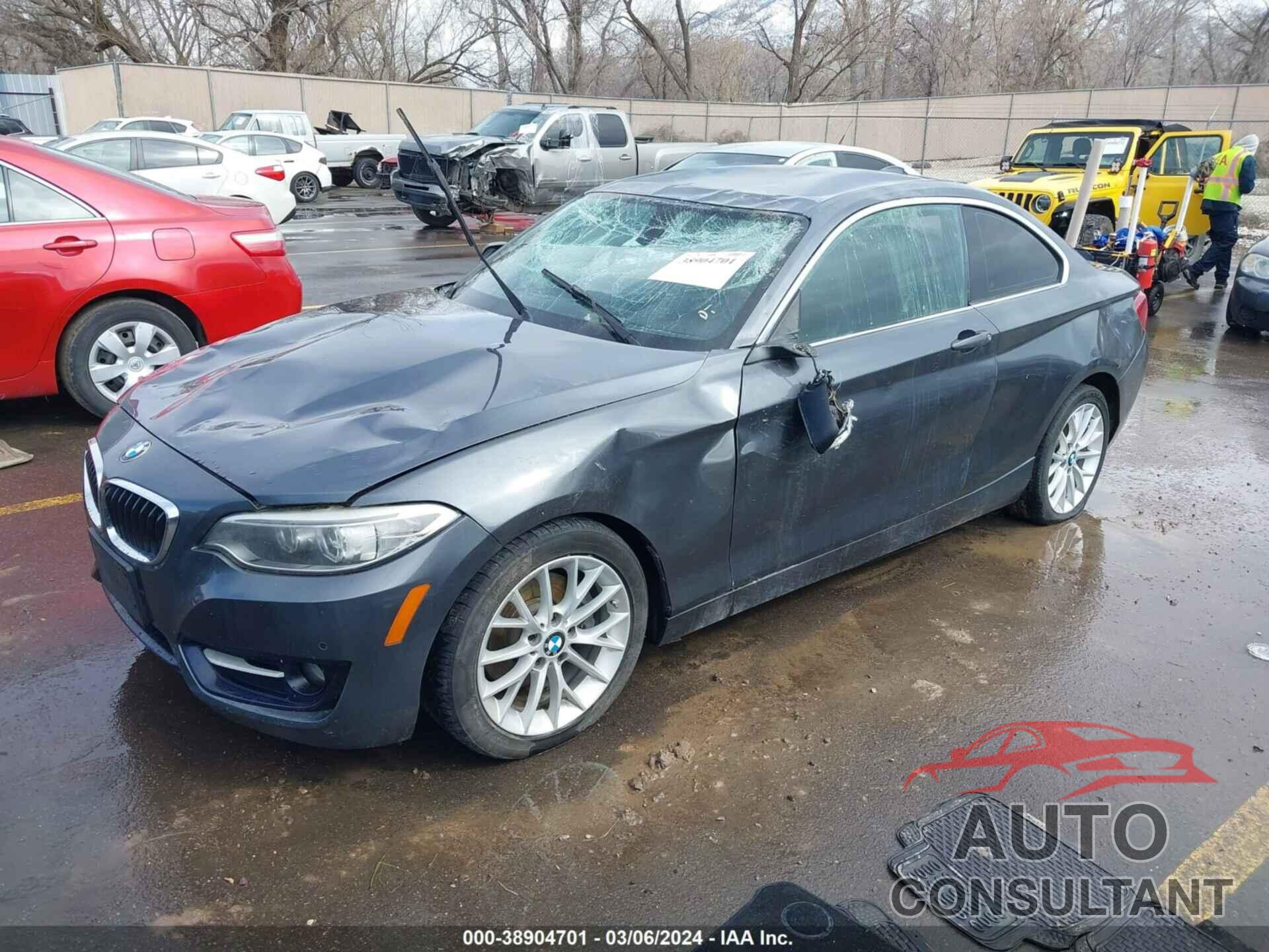 BMW 228 2016 - WBA1F9C50GV544300