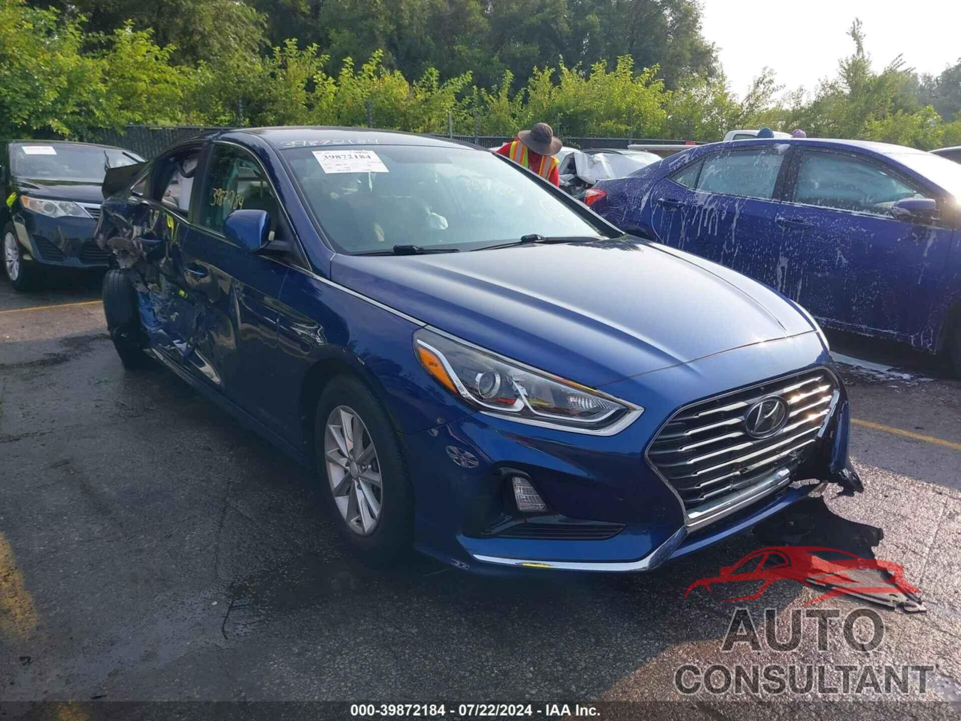 HYUNDAI SONATA 2019 - 5NPE24AF3KH746832