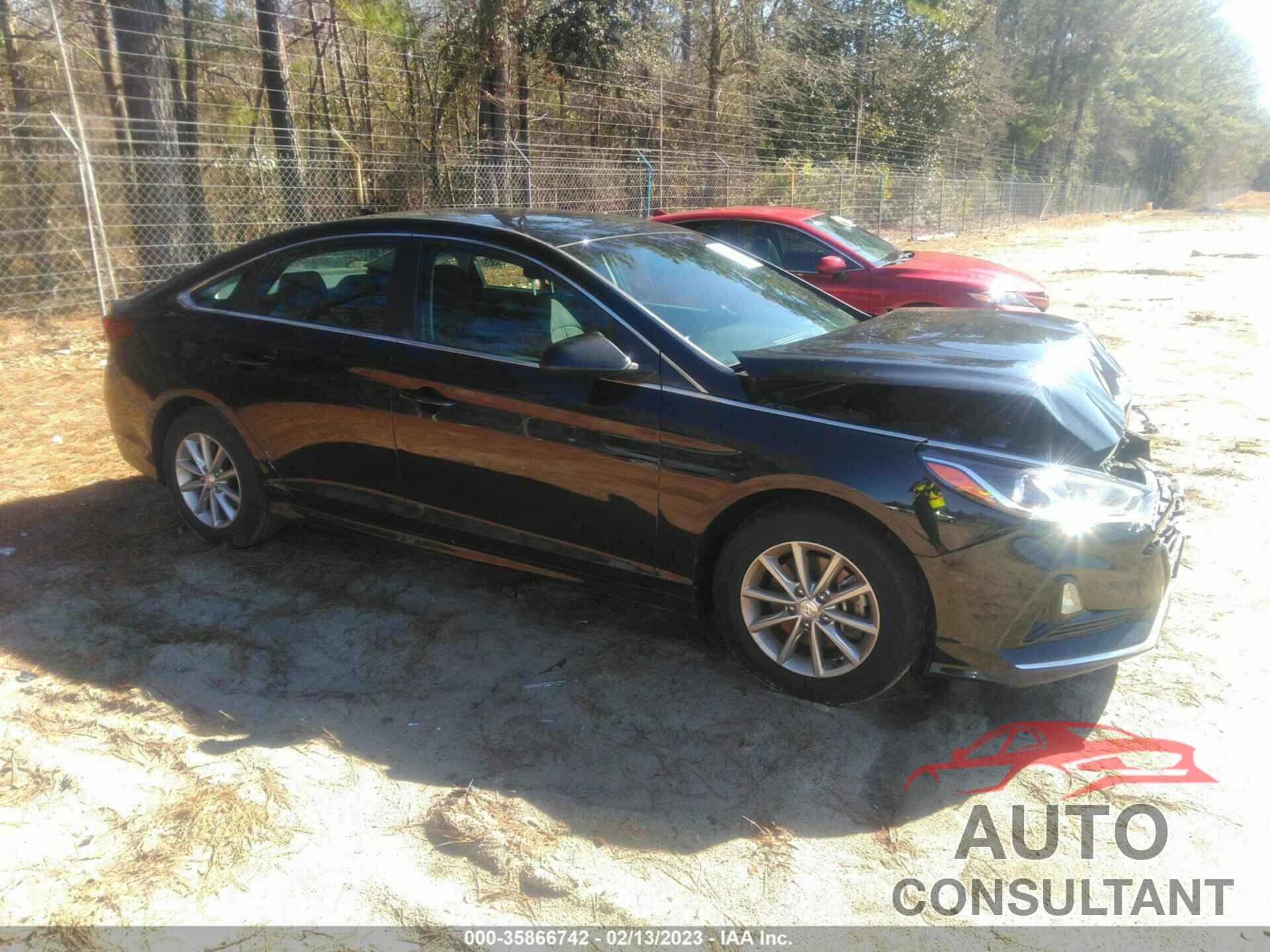 HYUNDAI SONATA 2019 - 5NPE24AF6KH760126